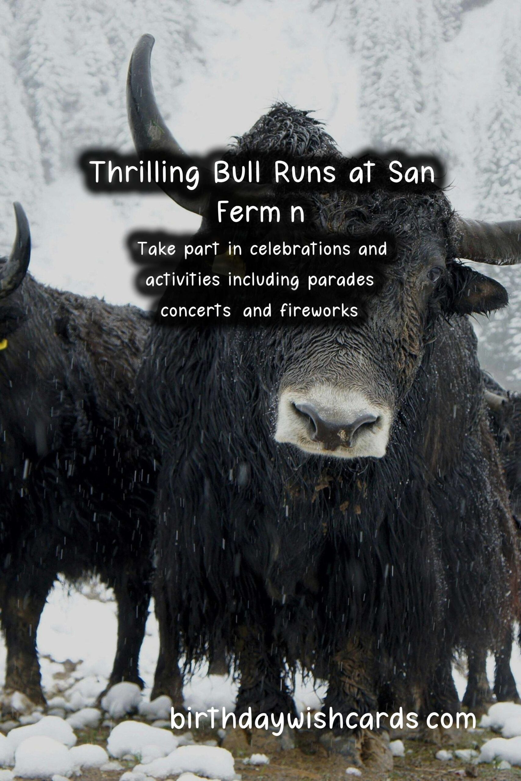 Experience the Thrill of San Fermín (July 6-14)