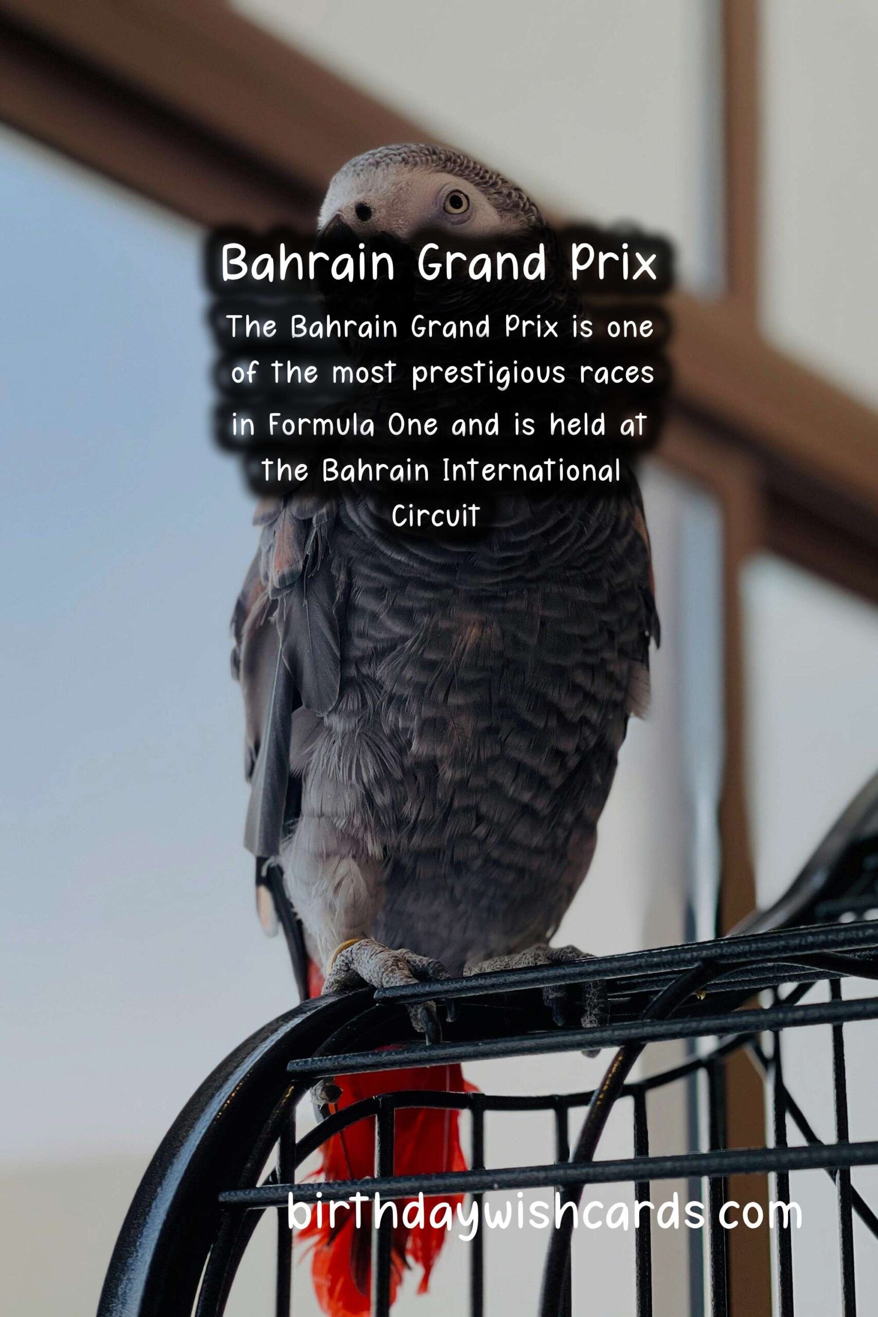Get Ready to Roar! All You Need to Know About the Bahrain Grand Prix in March