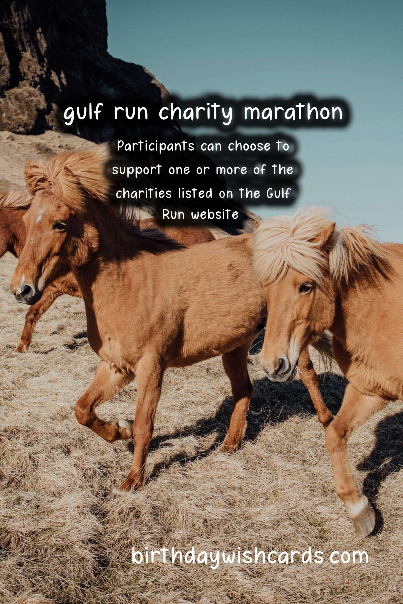 Birthday Wish Cards | Gulf Run: January 29 Annual Charity Marathon