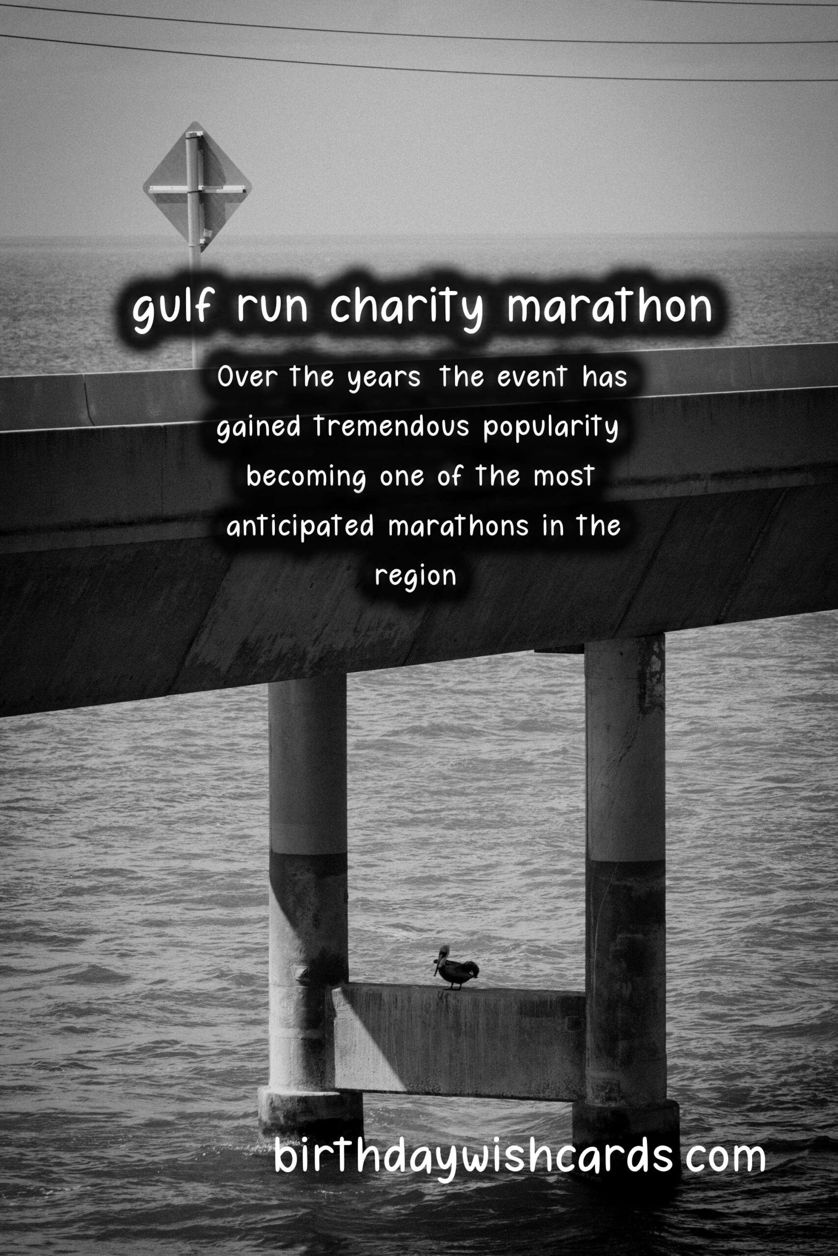 Gulf Run: January 29 Annual Charity Marathon