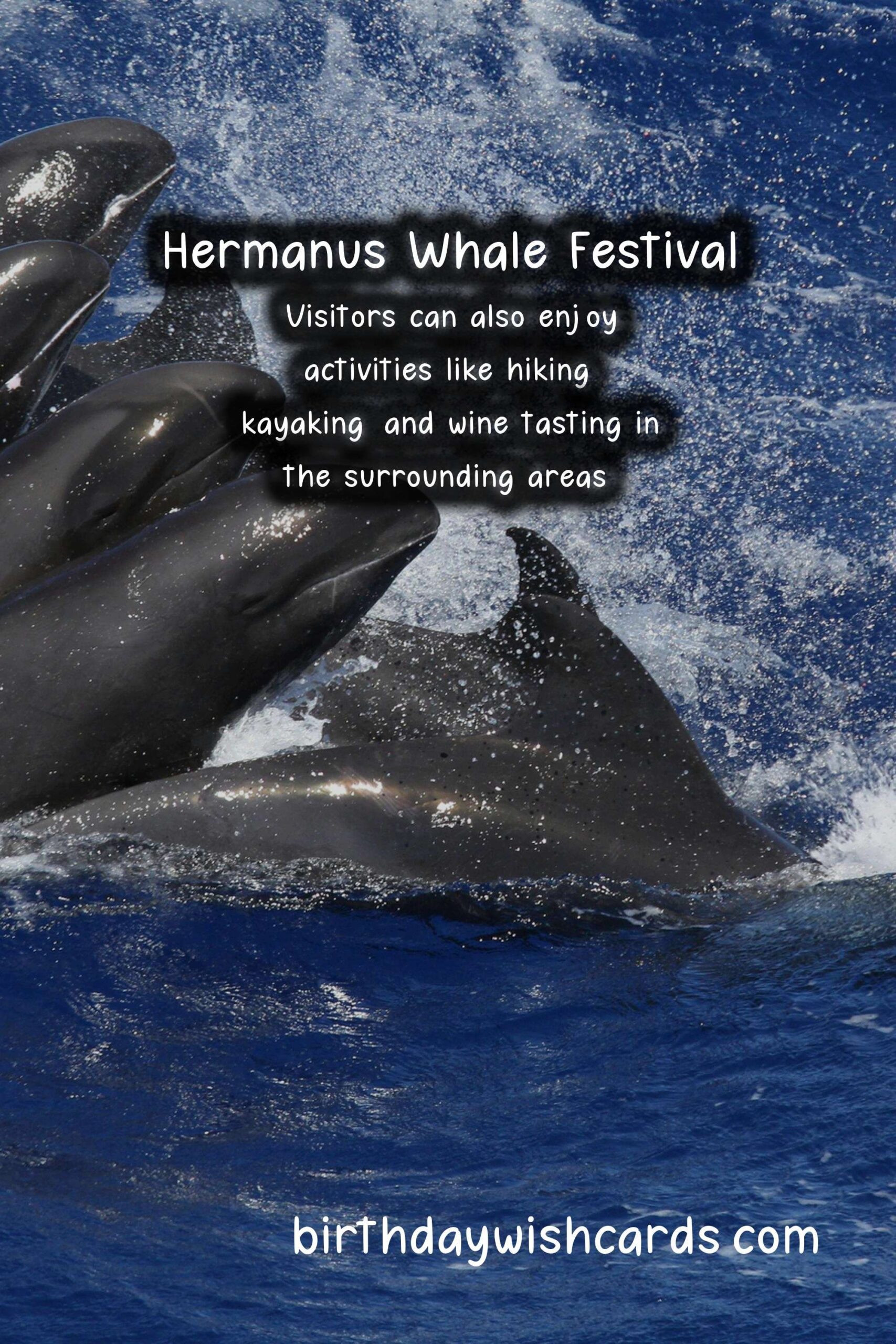 Hermanus Whale Festival: A World-Class Experience in South Africa