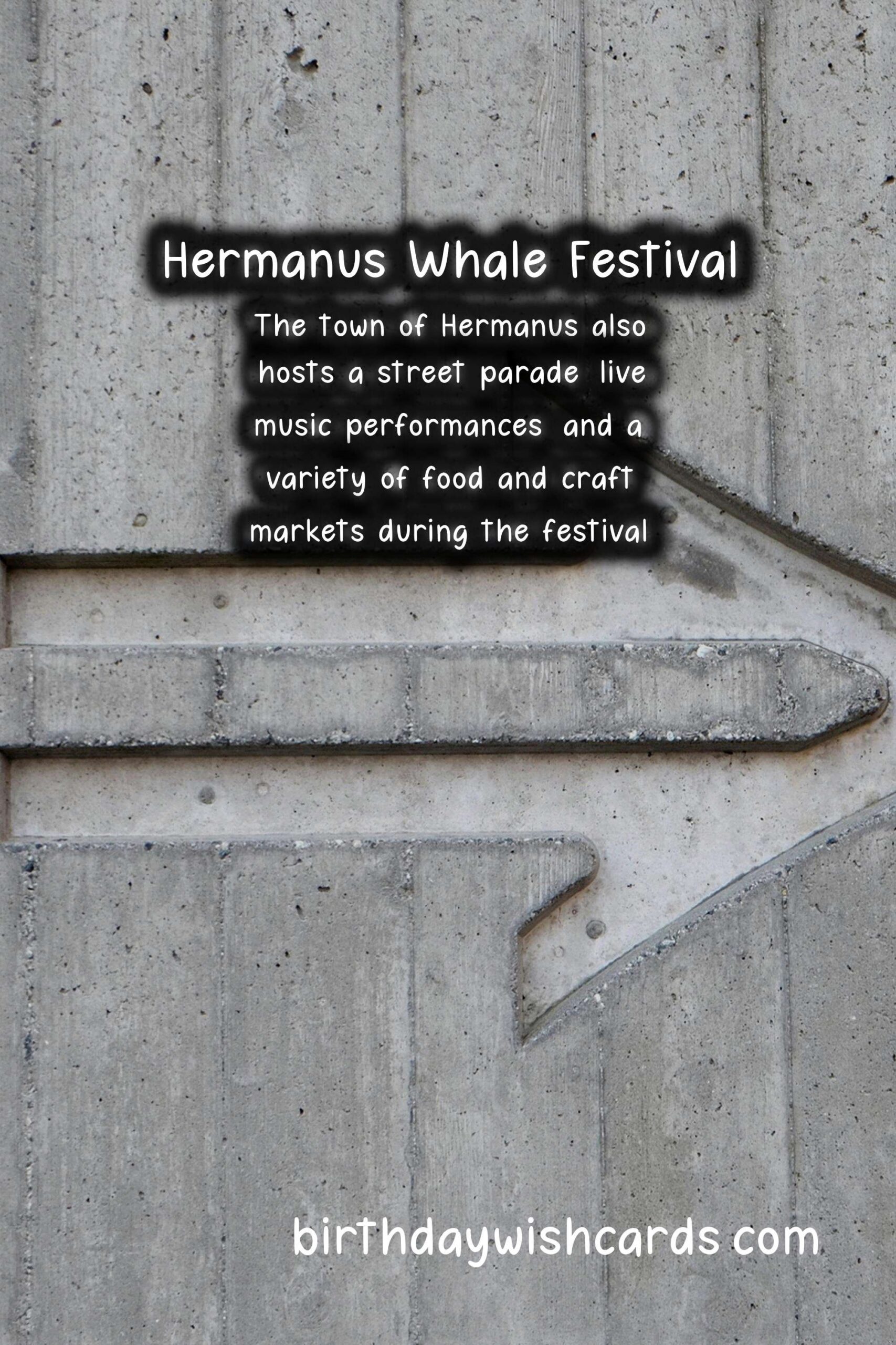 Hermanus Whale Festival: A World-Class Experience in South Africa