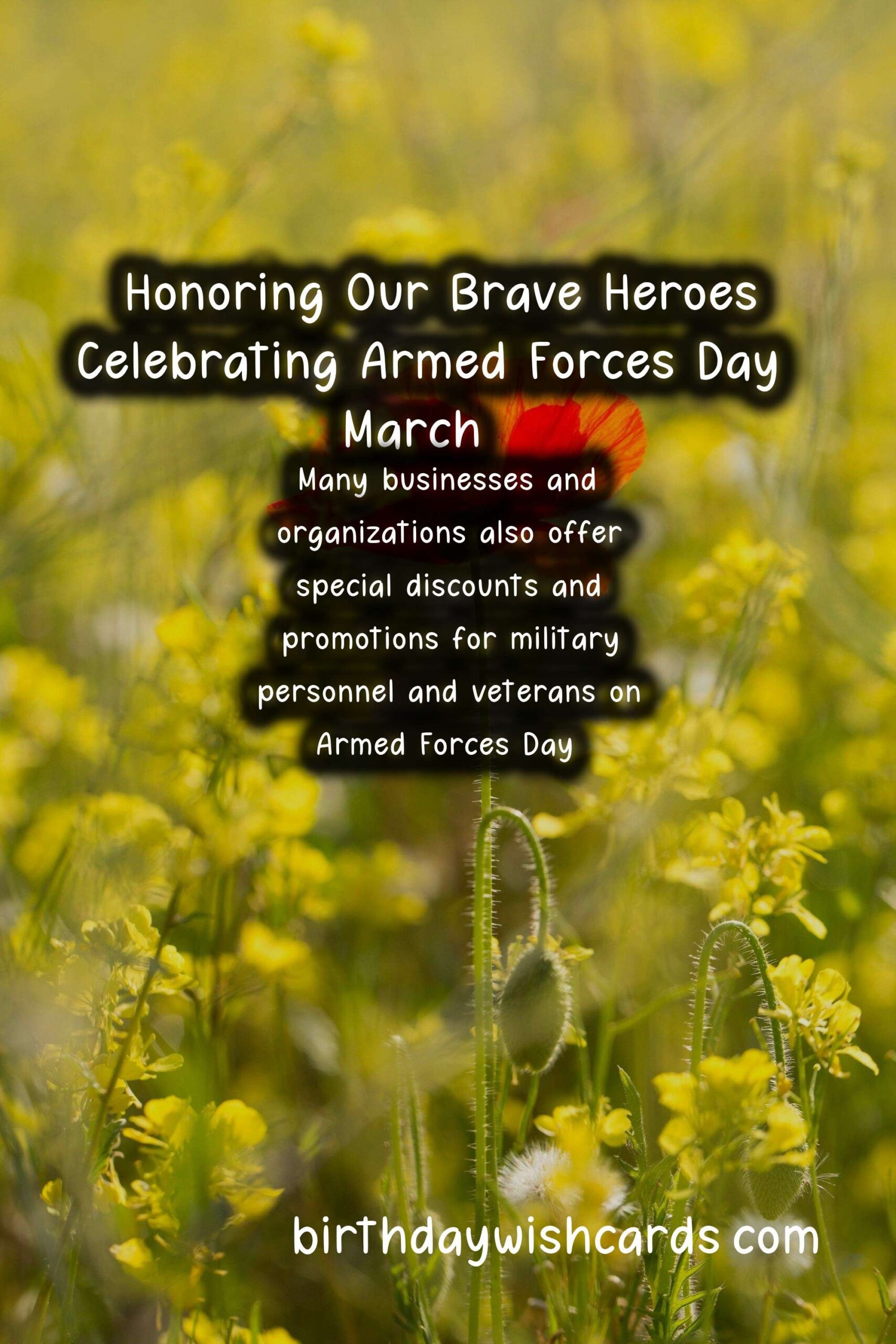 Honoring Our Brave Heroes: Celebrating Armed Forces Day - March 27