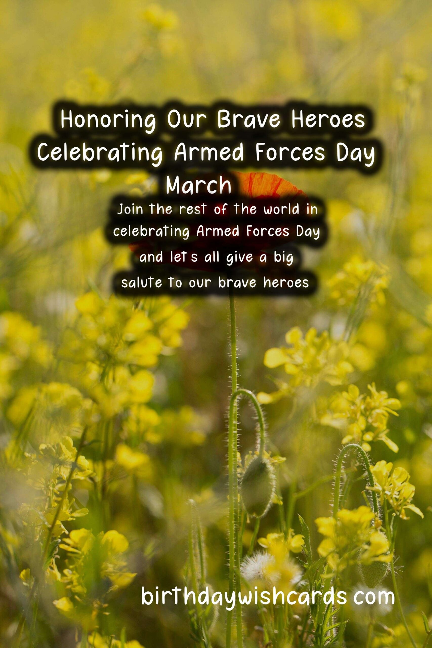 Honoring Our Brave Heroes: Celebrating Armed Forces Day - March 27