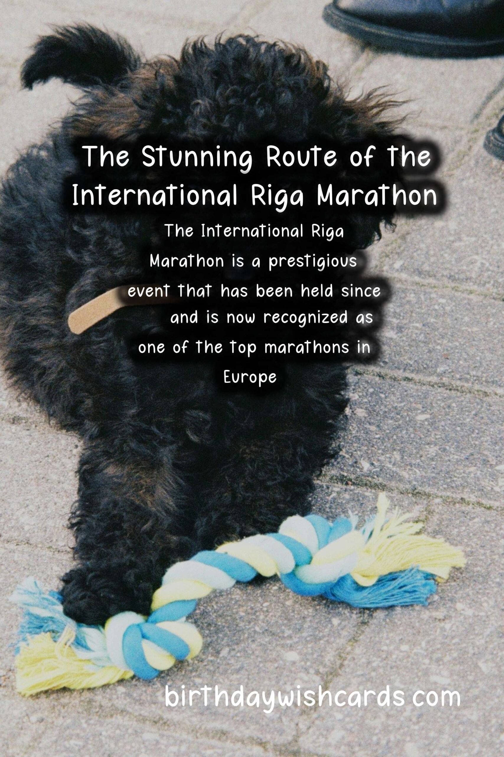 International Riga Marathon: May 2021