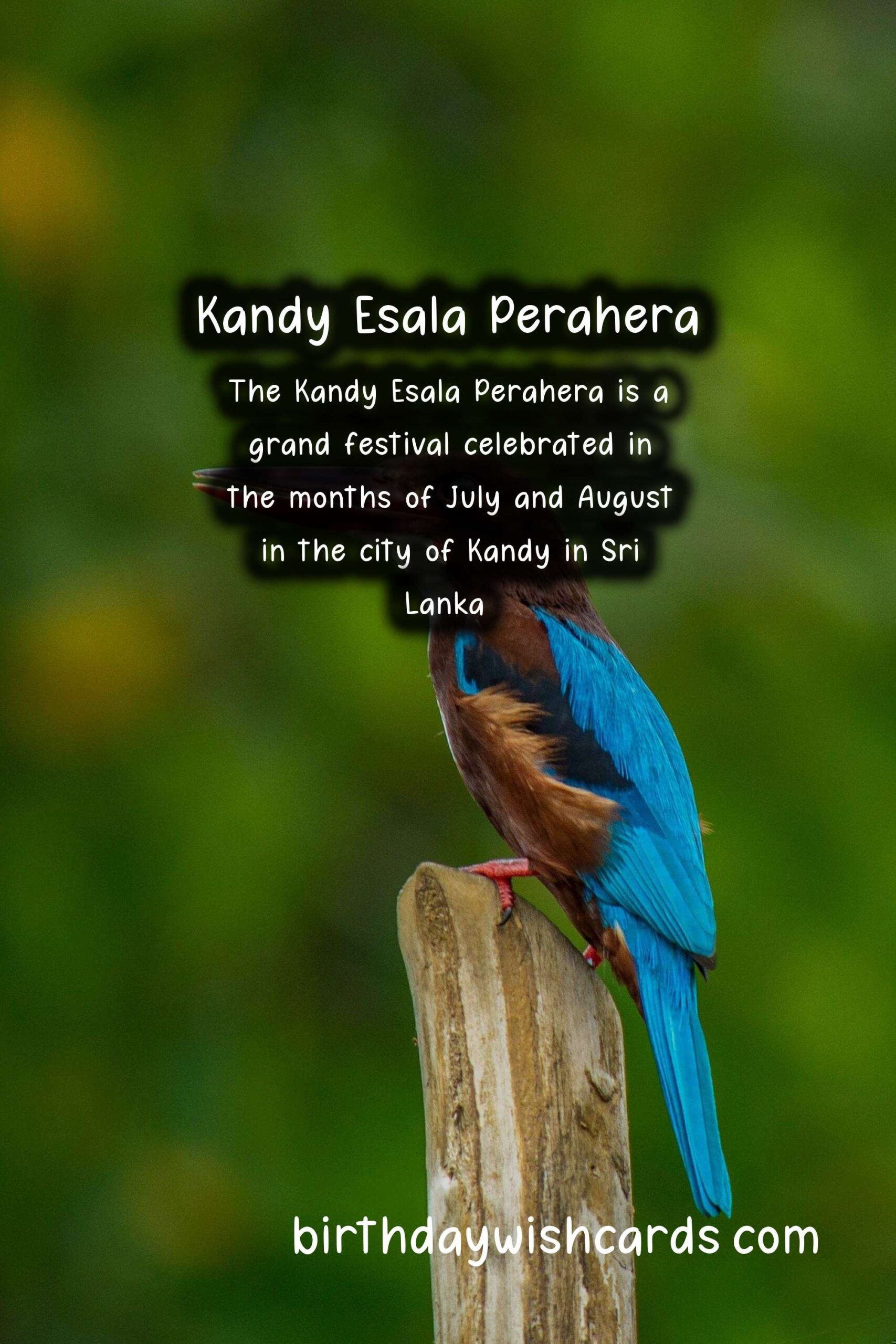 Kandy Esala Perahera - Celebrating the Rich Heritage and Culture of Sri Lanka
