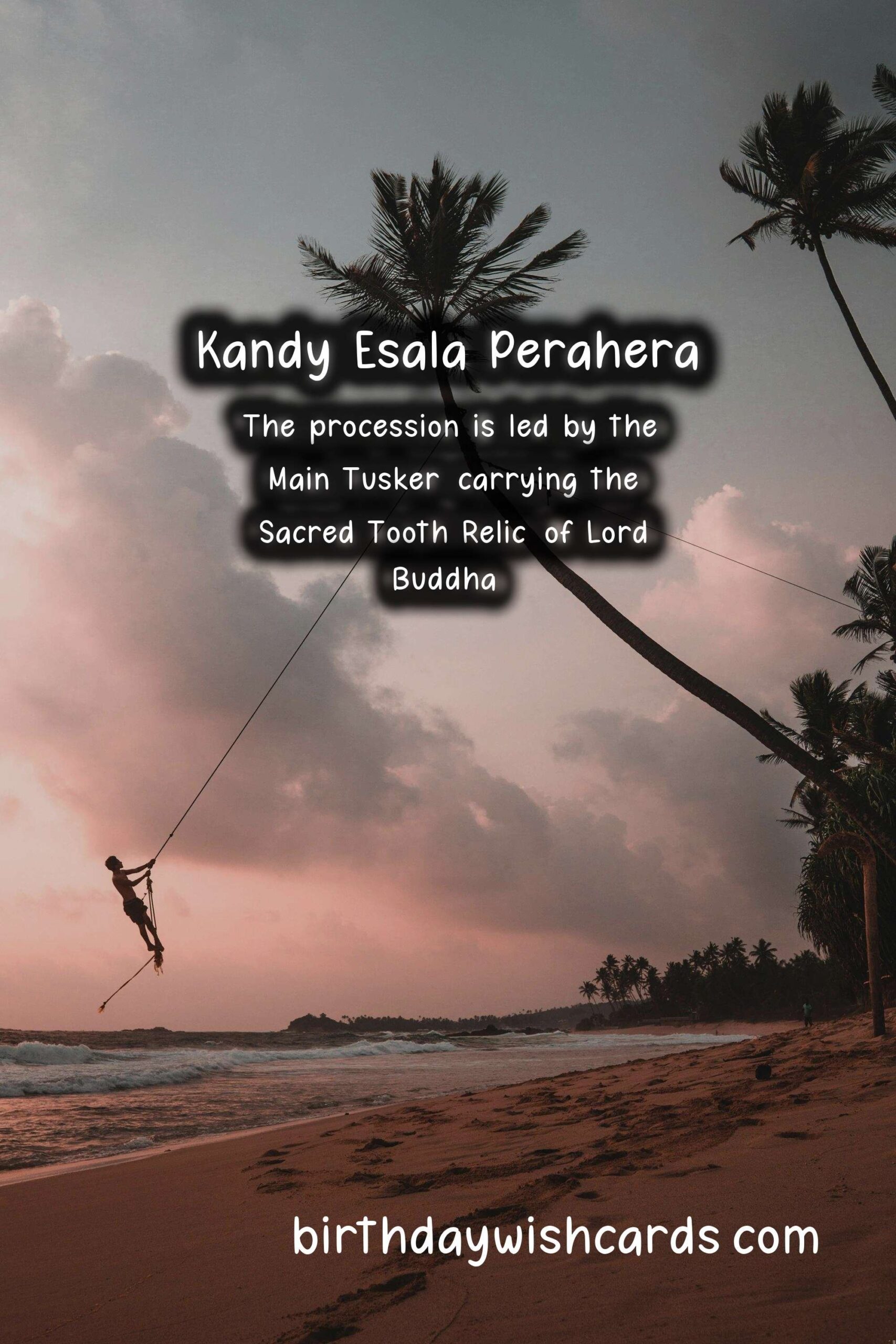 Kandy Esala Perahera - Celebrating the Rich Heritage and Culture of Sri Lanka