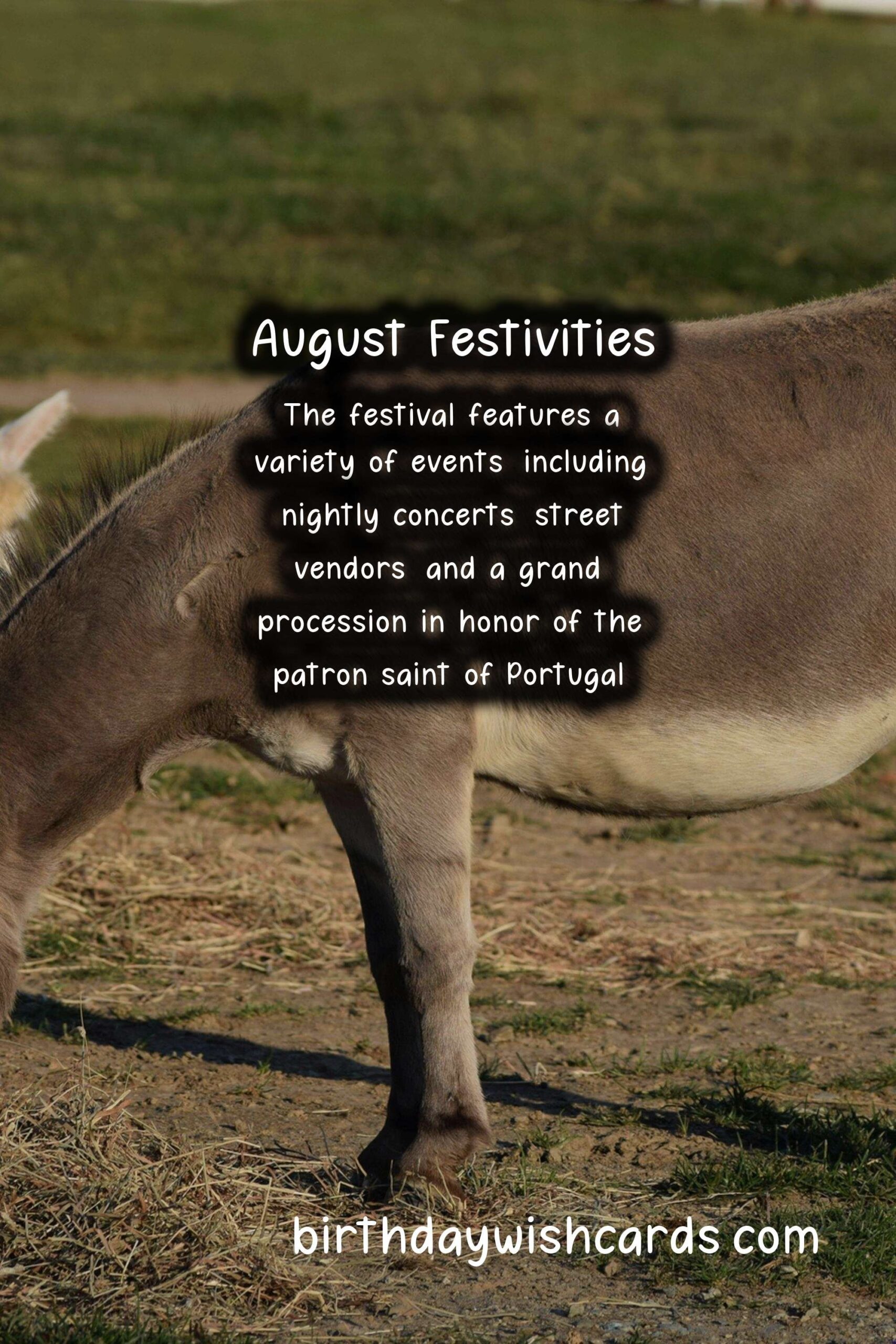 Birthday Wish Cards | Let's Celebrate August with Festas de Agosto