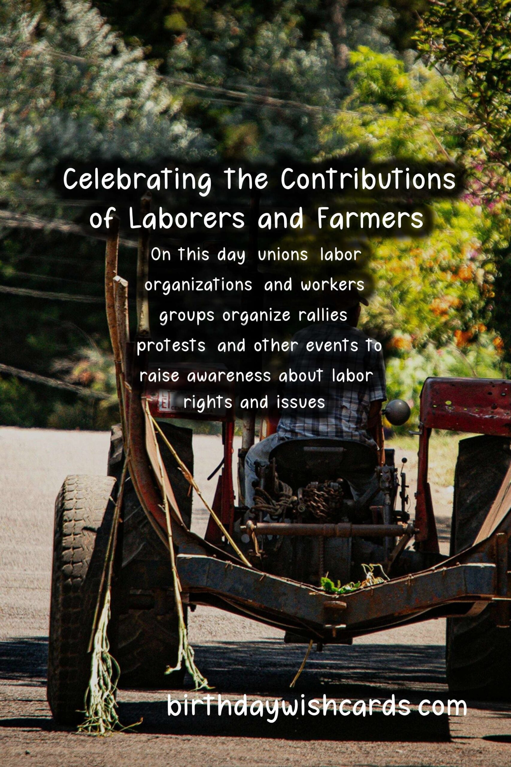 Birthday Wish Cards | May 1: Labor and Agriculture Day