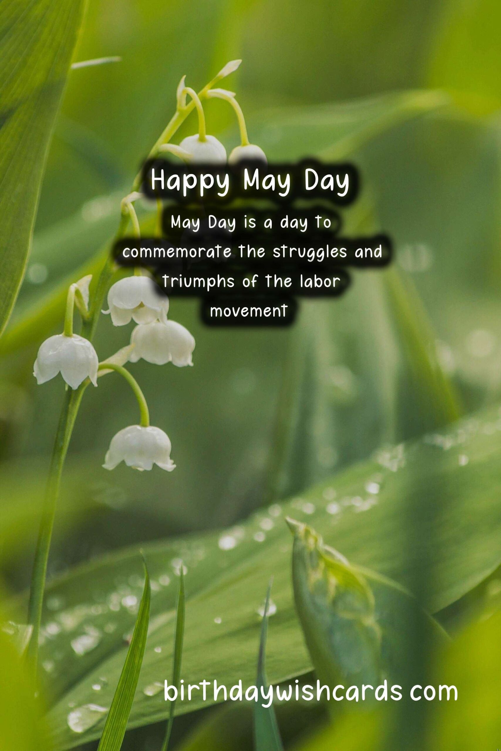 May Day - First Monday in May