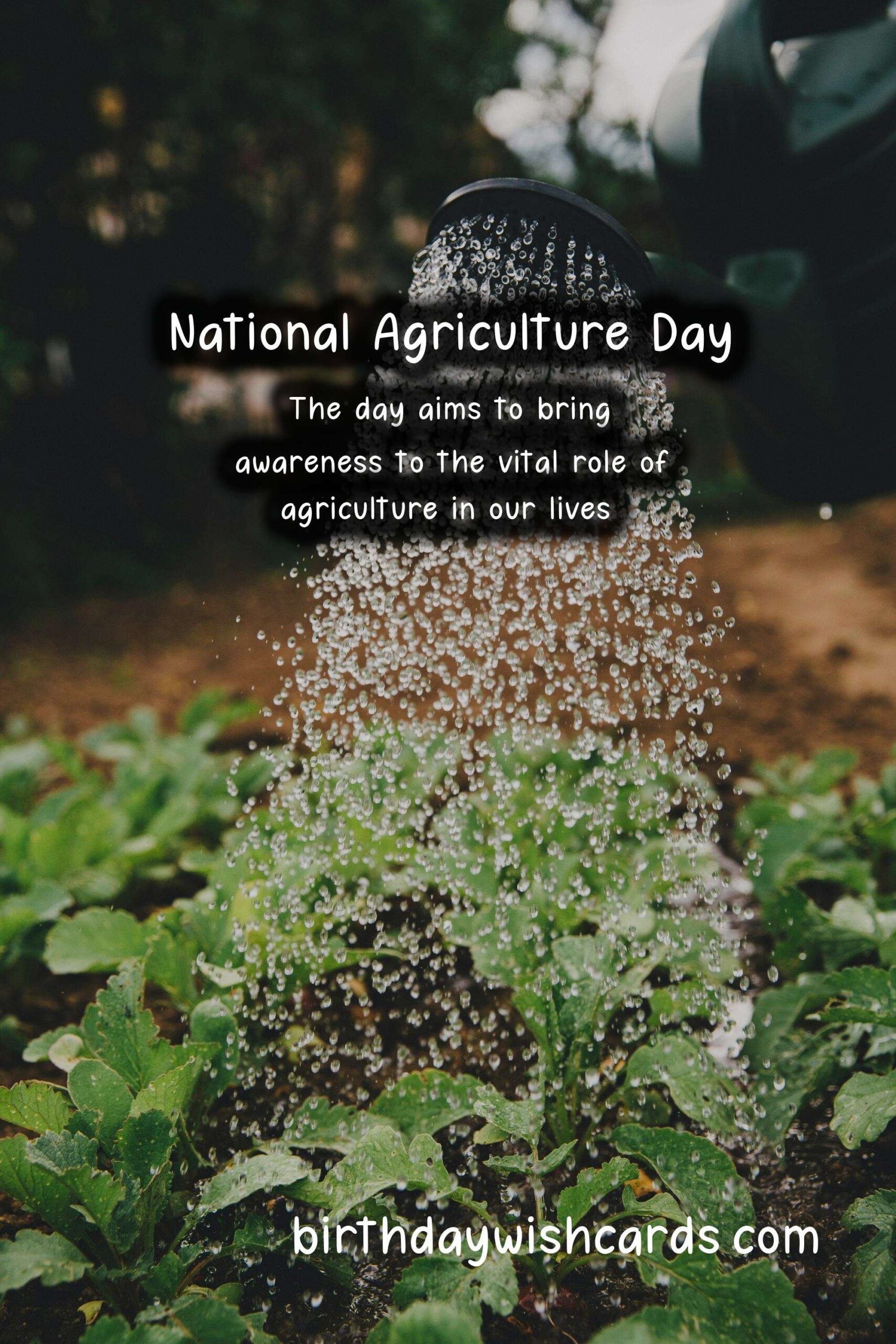 National Agriculture Day - March 17
