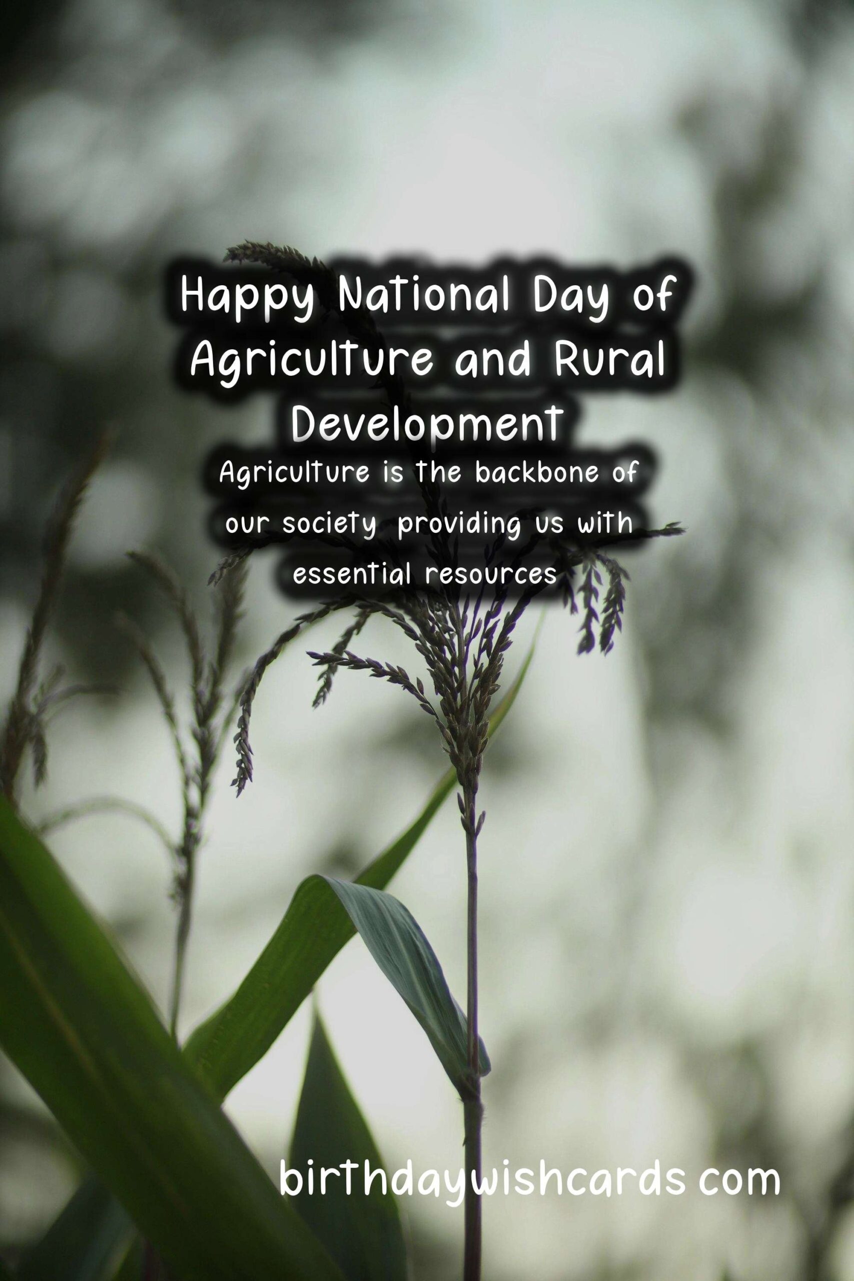 National Day of Agriculture and Rural Development (May 11)