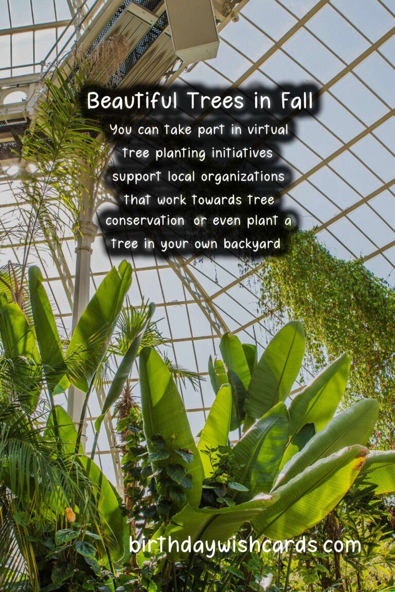 National Day of Trees – November 7