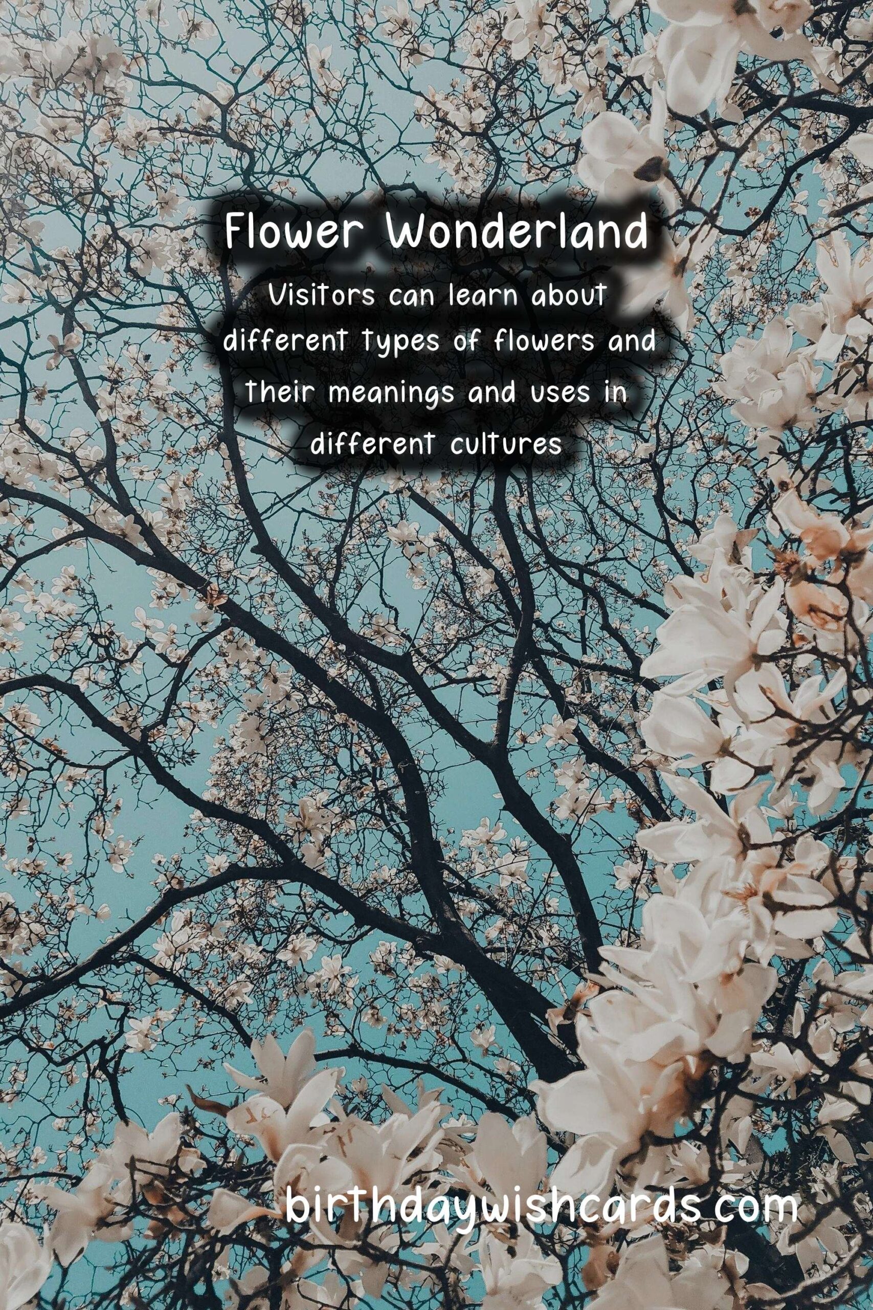 National Flower Festival - October 15