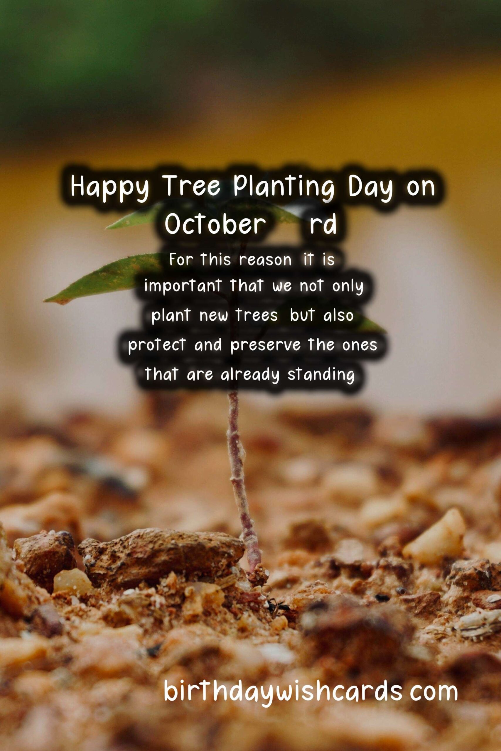 October 23rd - National Tree Planting Day