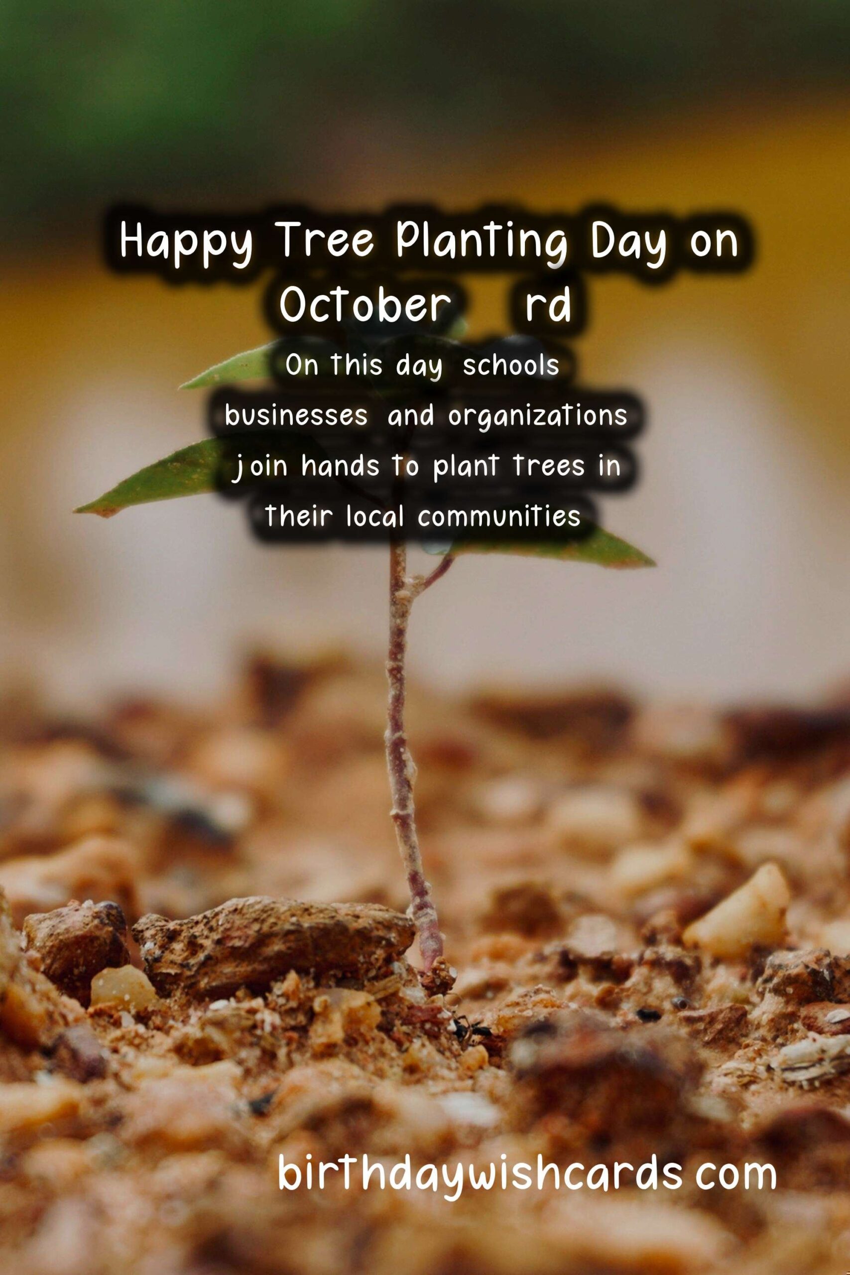 October 23rd - National Tree Planting Day