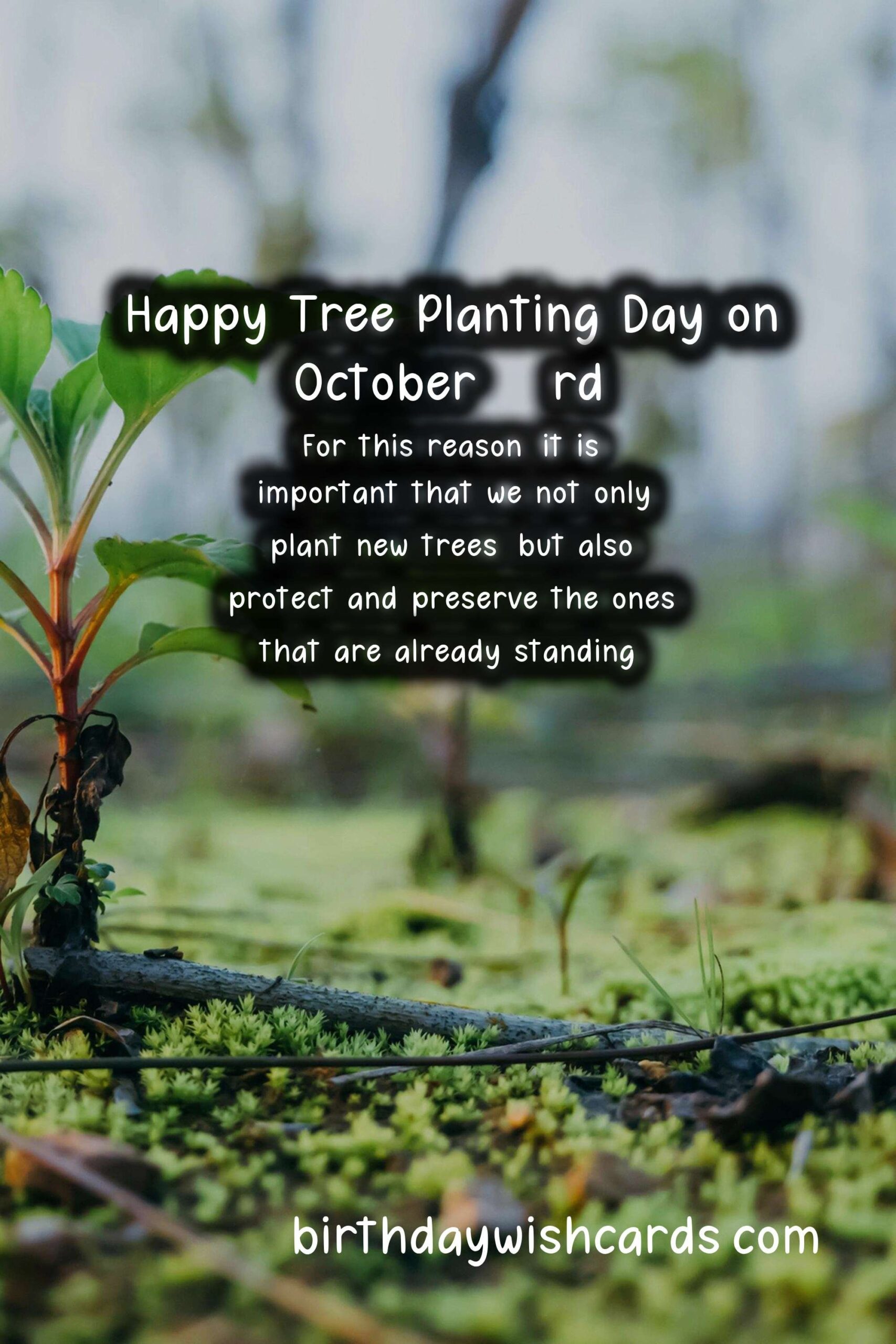 October 23rd - National Tree Planting Day