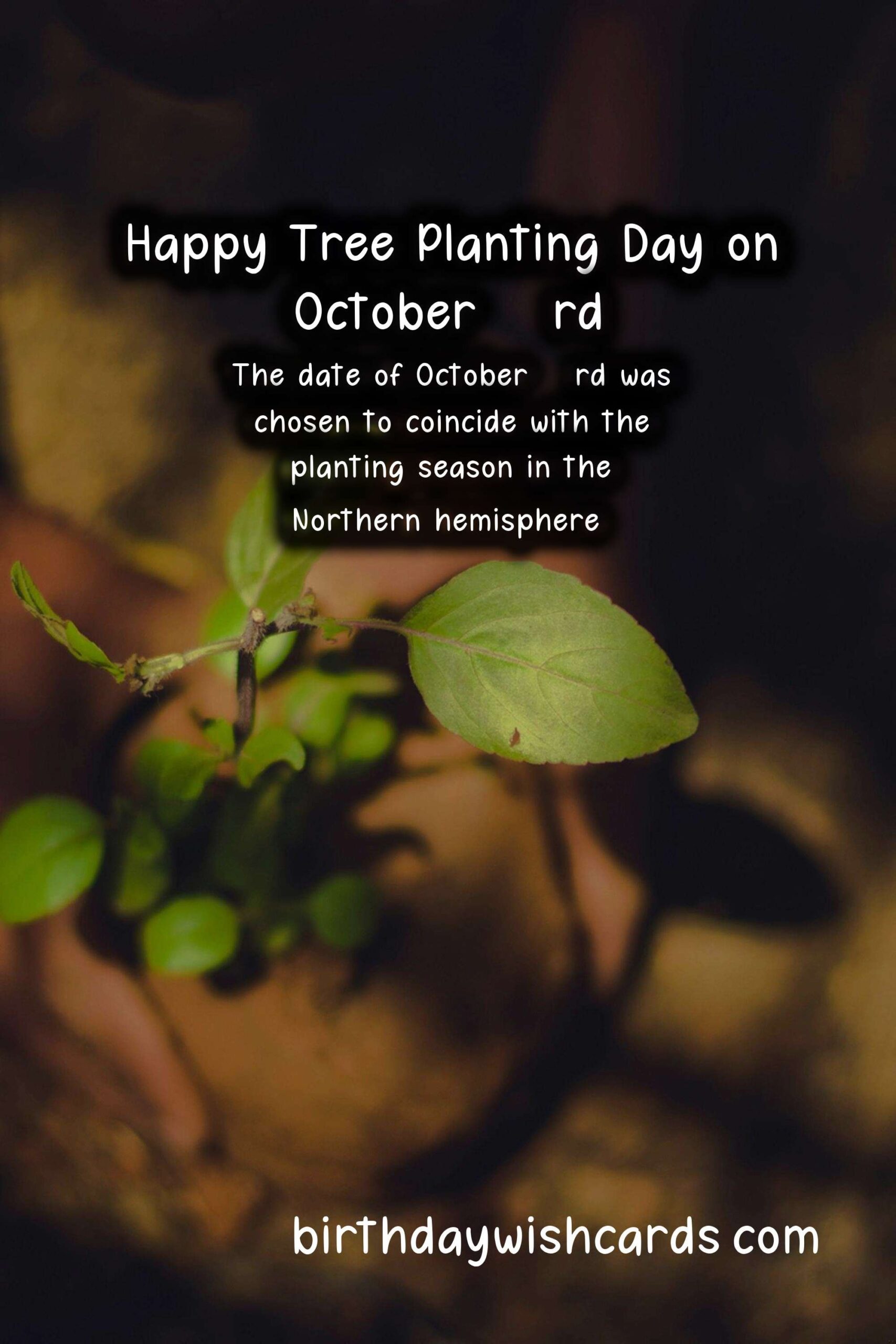 October 23rd - National Tree Planting Day