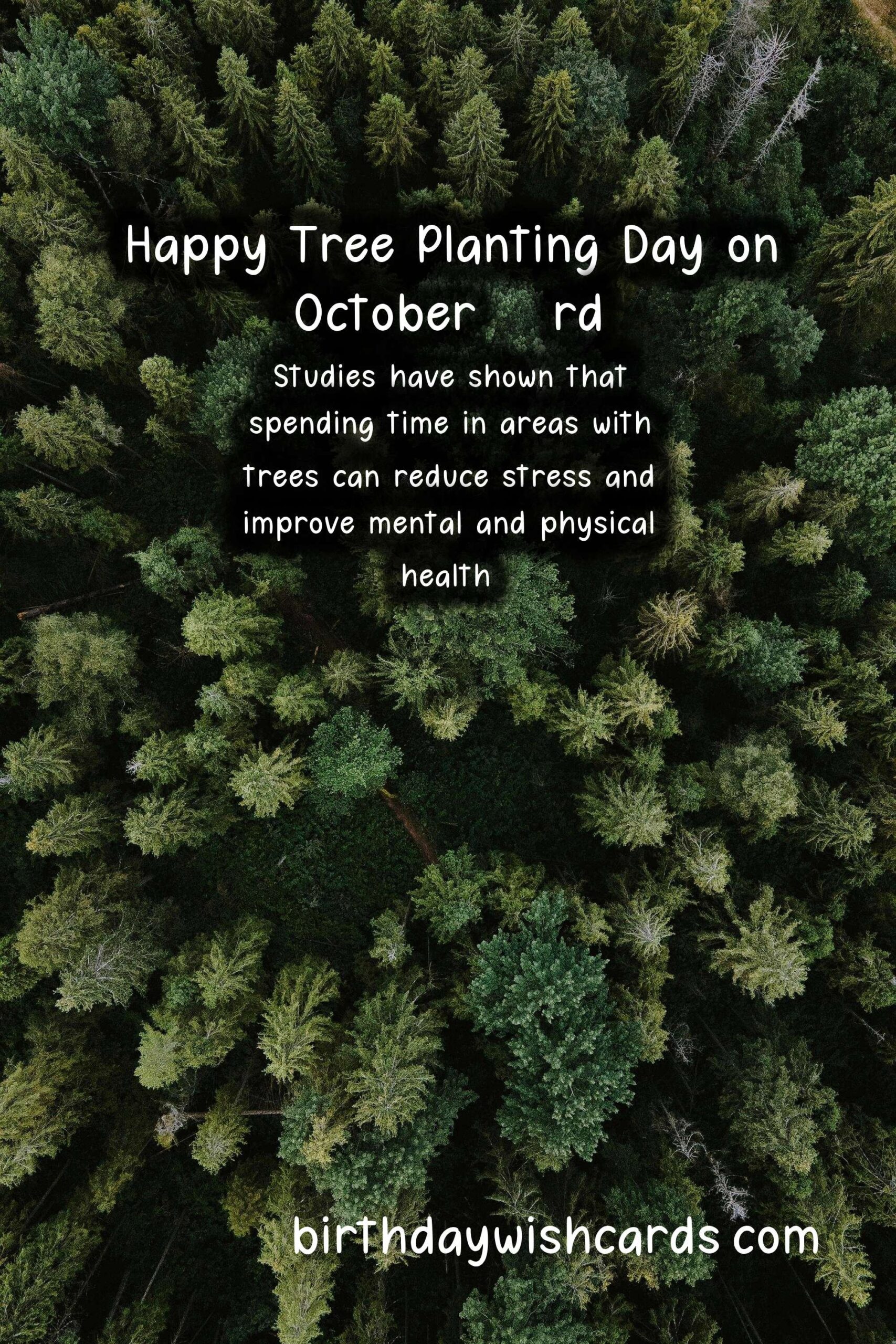 October 23rd - National Tree Planting Day