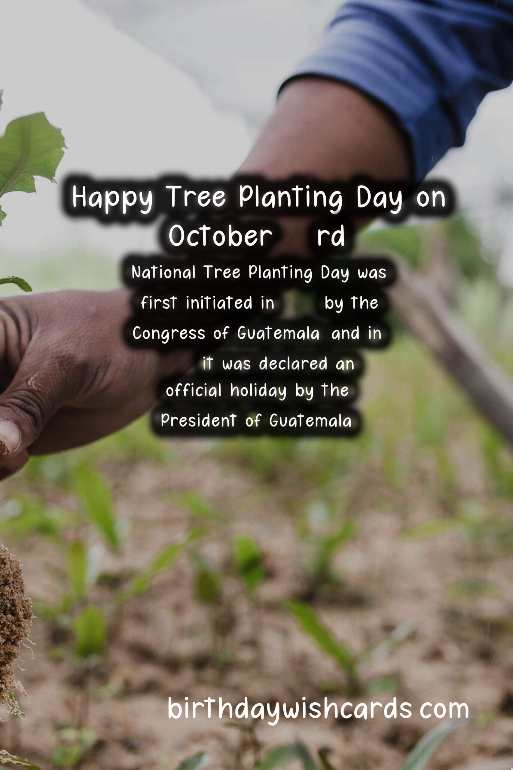 October 23rd - National Tree Planting Day
