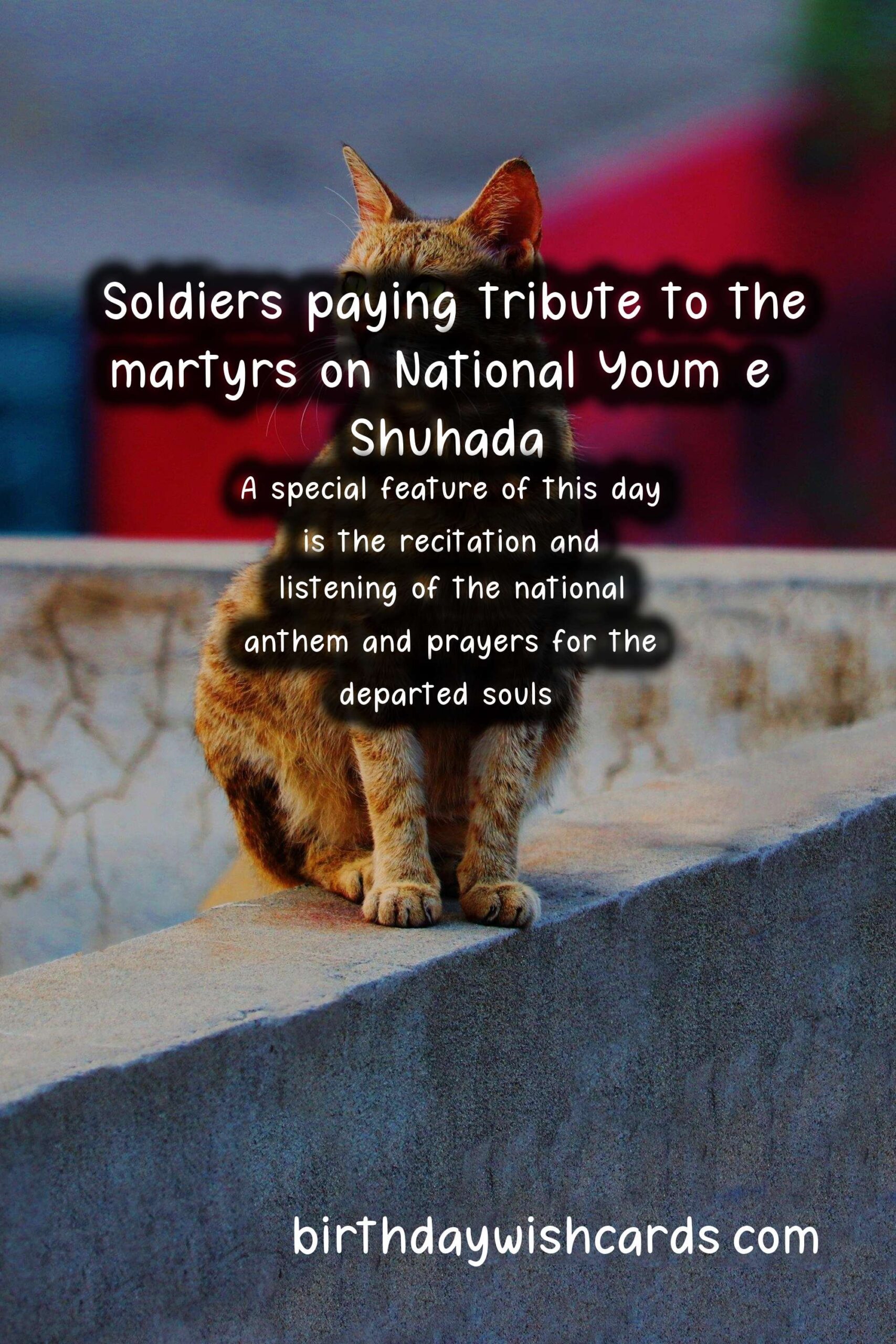 Remembering the Sacrifice: National Youm-e-Shuhada (Day of Martyrs) - April
