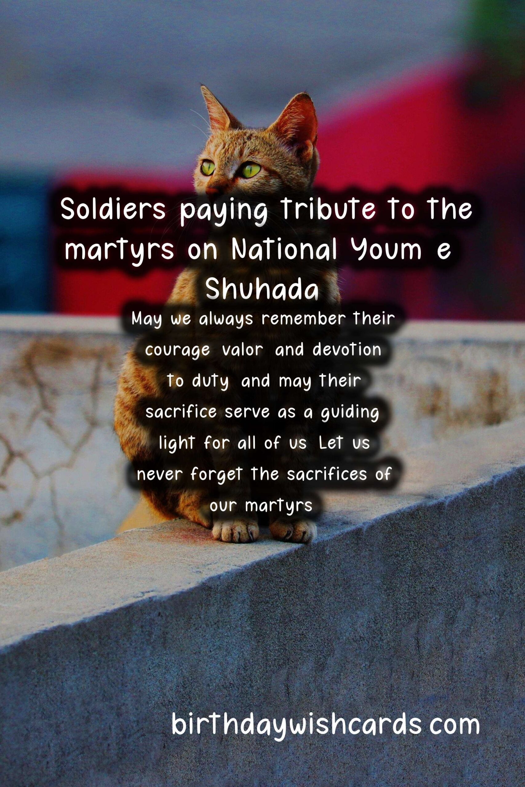 Remembering the Sacrifice: National Youm-e-Shuhada (Day of Martyrs) - April