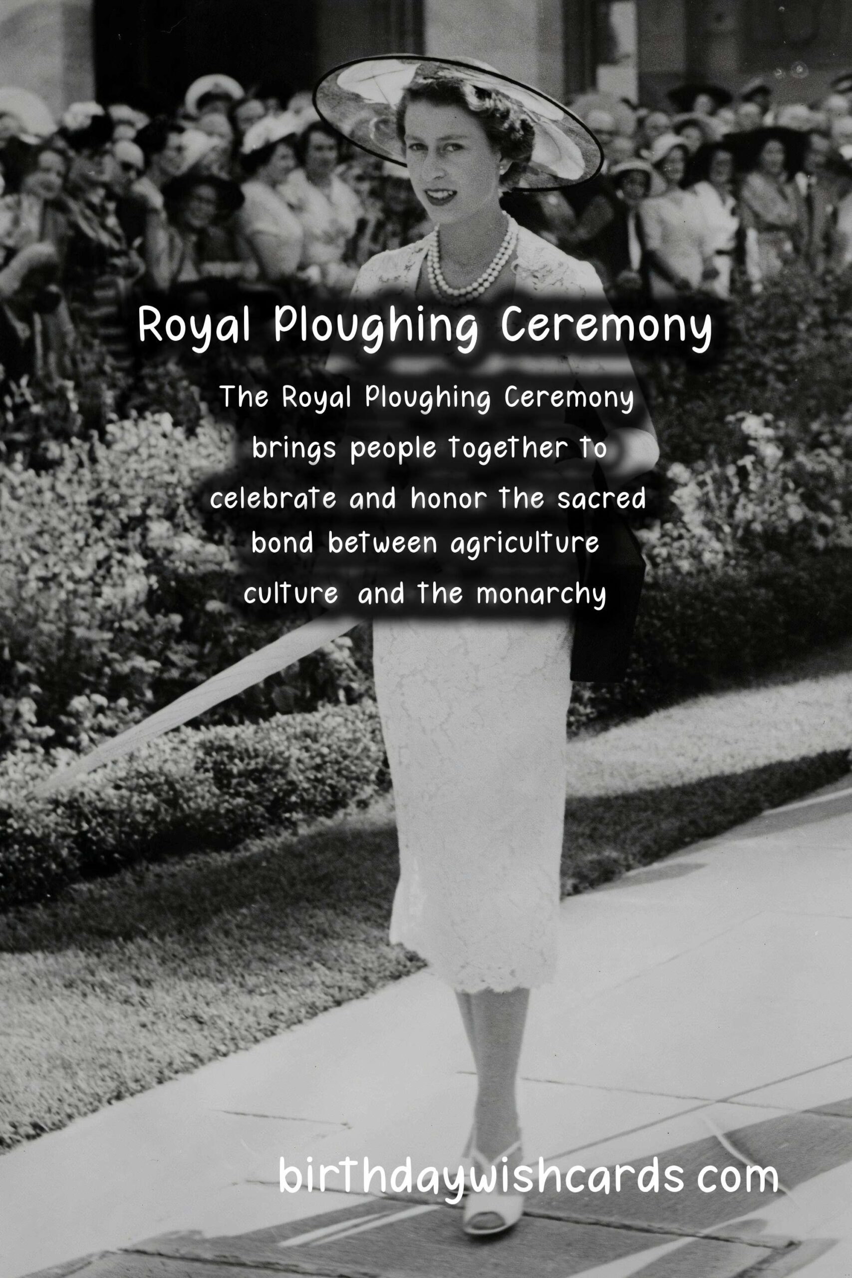 Royal Ploughing Ceremony - A Sacred Harvesting Ritual