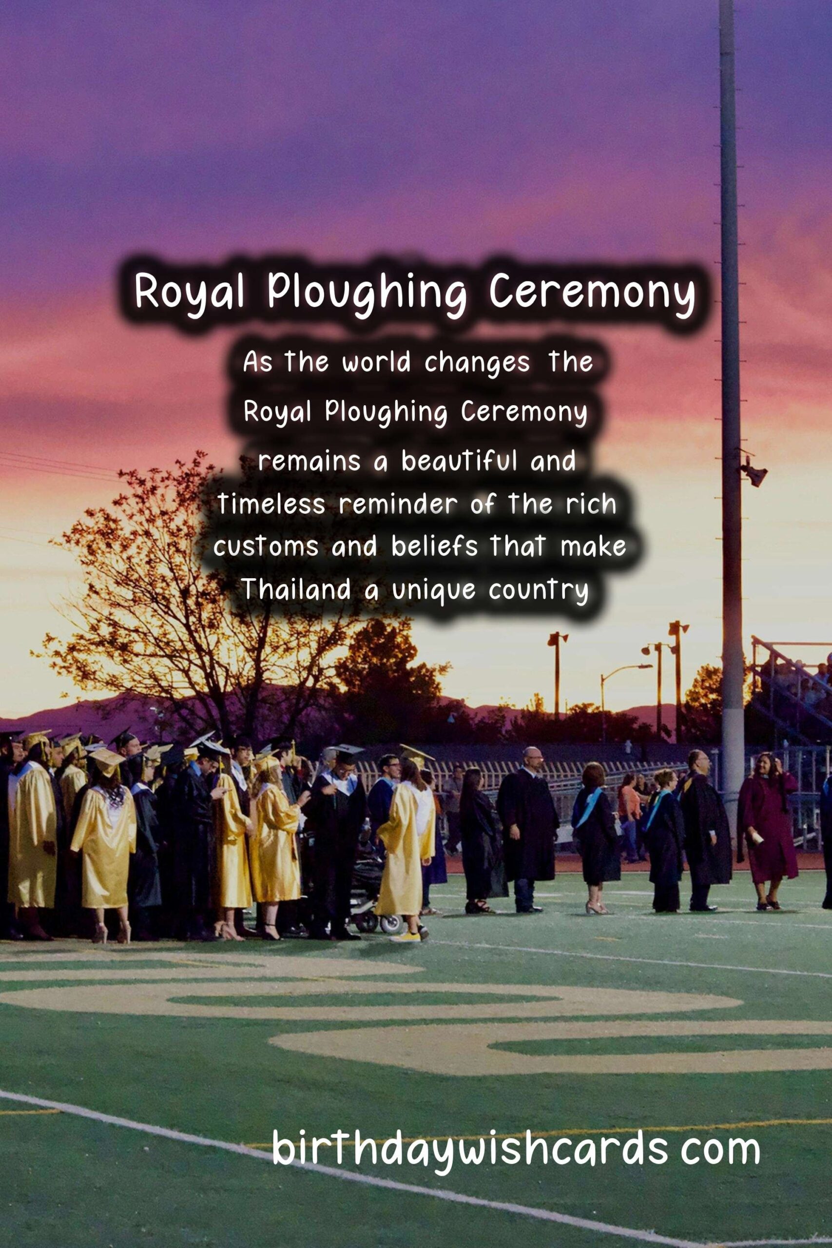 Royal Ploughing Ceremony - A Sacred Harvesting Ritual