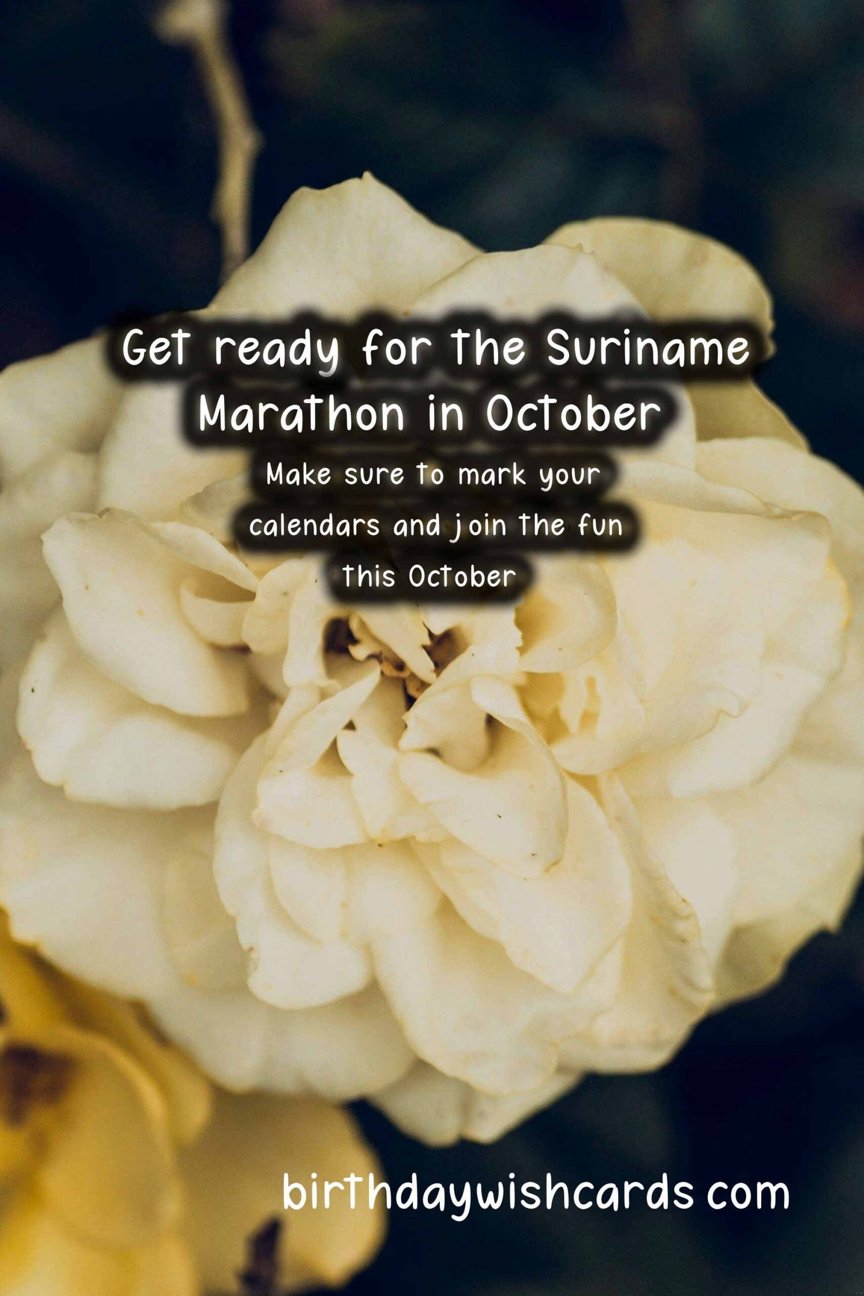 Suriname Marathon: An Exciting Running Experience in October
