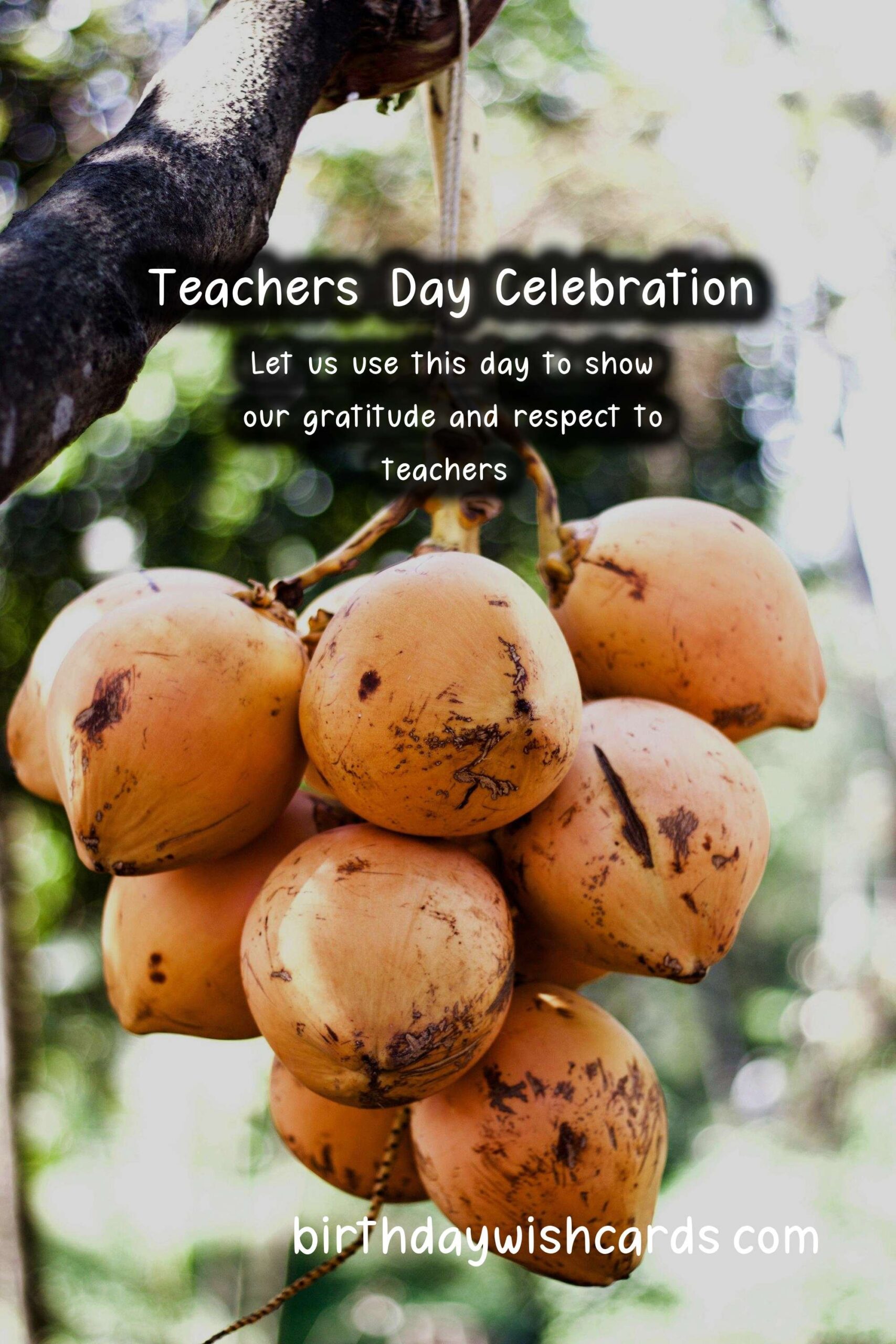 Teachers' Day: Celebrating the Heroes of Education Around the World