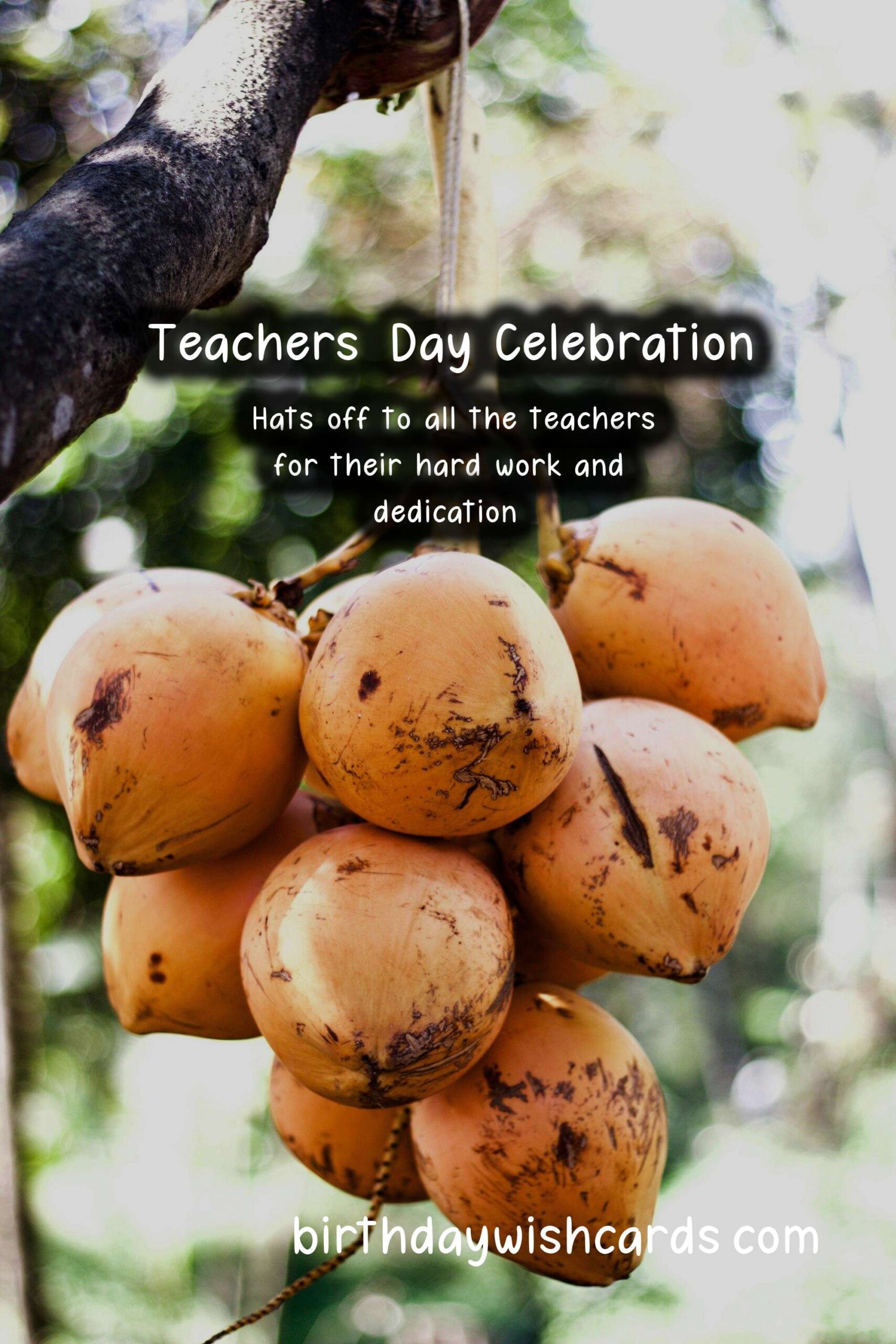 Teachers' Day: Celebrating the Heroes of Education Around the World
