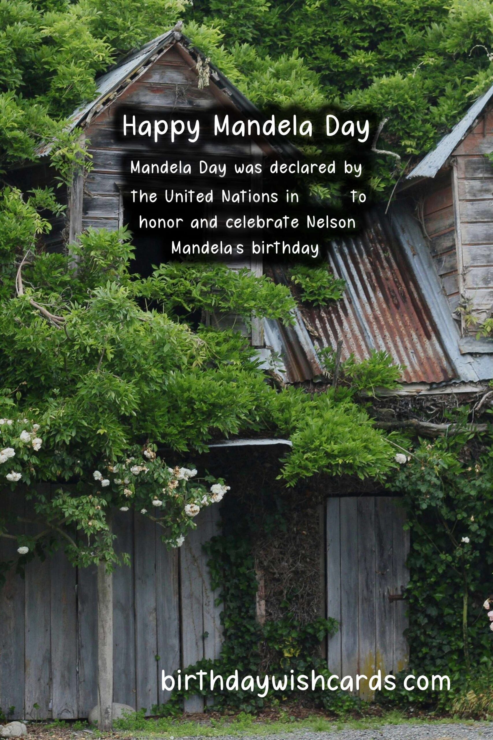 The Importance of Mandela Day (July 18) and Honoring Nelson Mandela