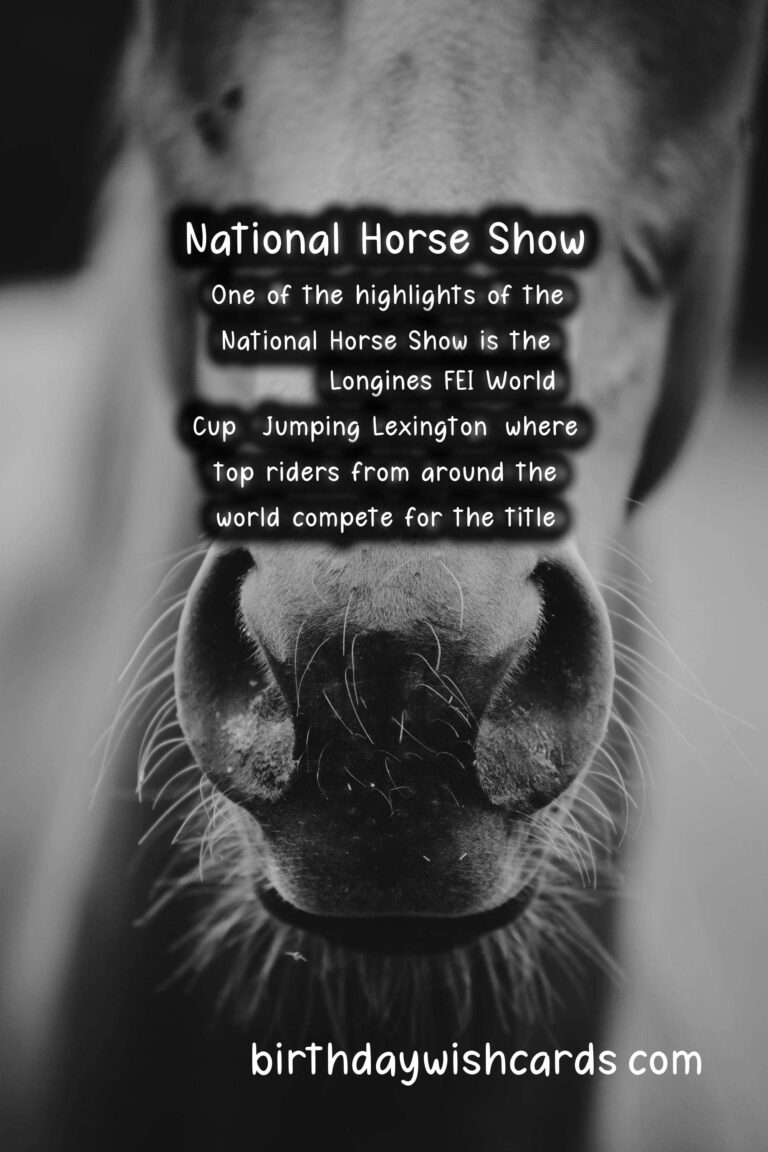 The National Horse Show – A Premier Equestrian Event