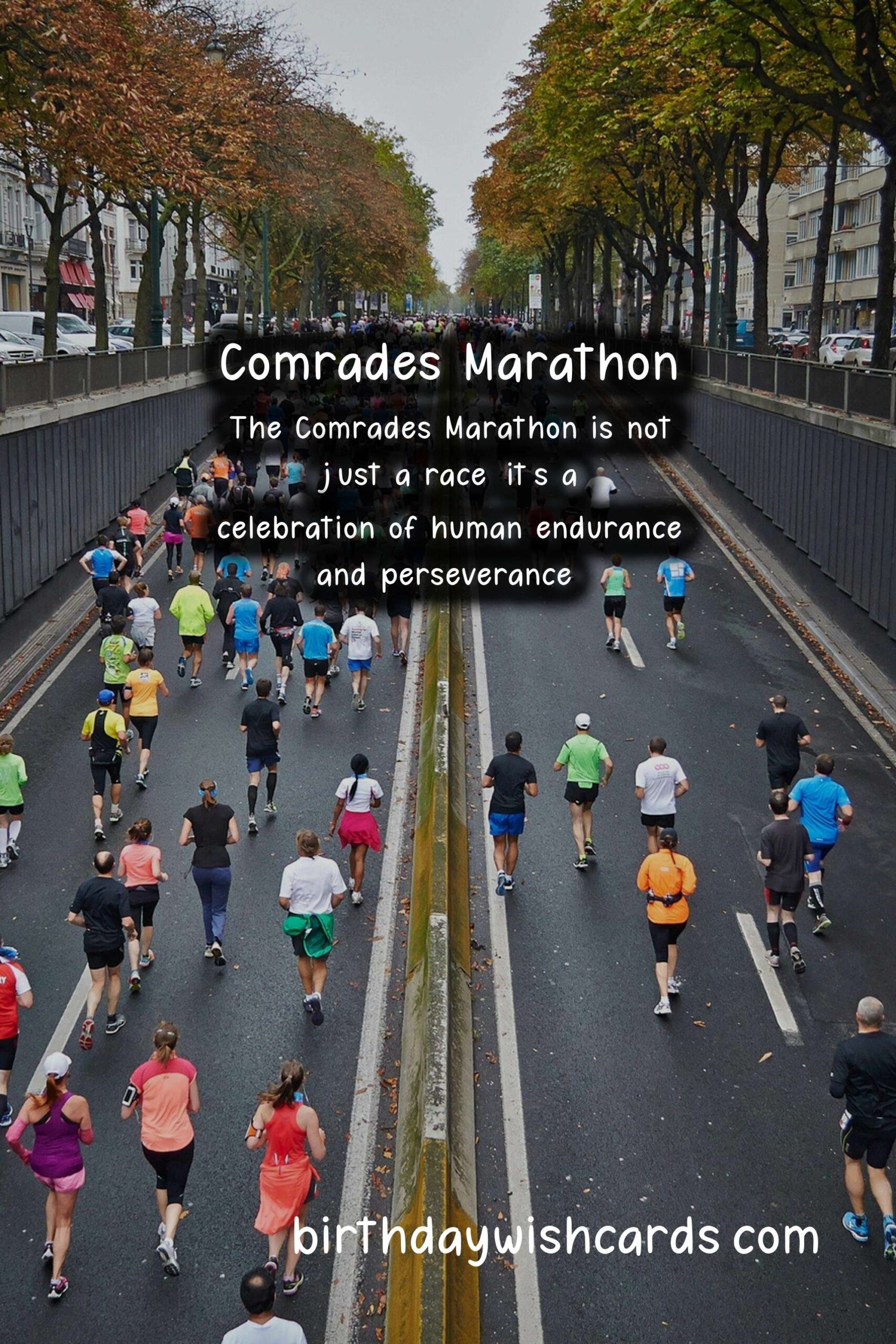 The Ultimate Guide to the Comrades Marathon in June