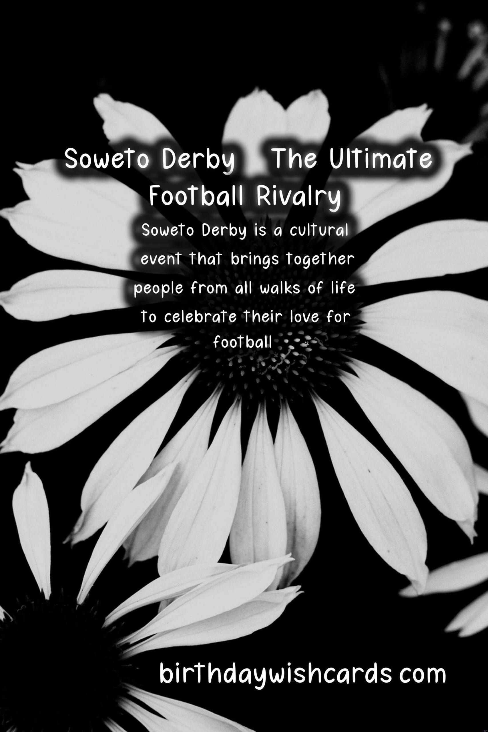 The Ultimate Guide to the Soweto Derby in February/March