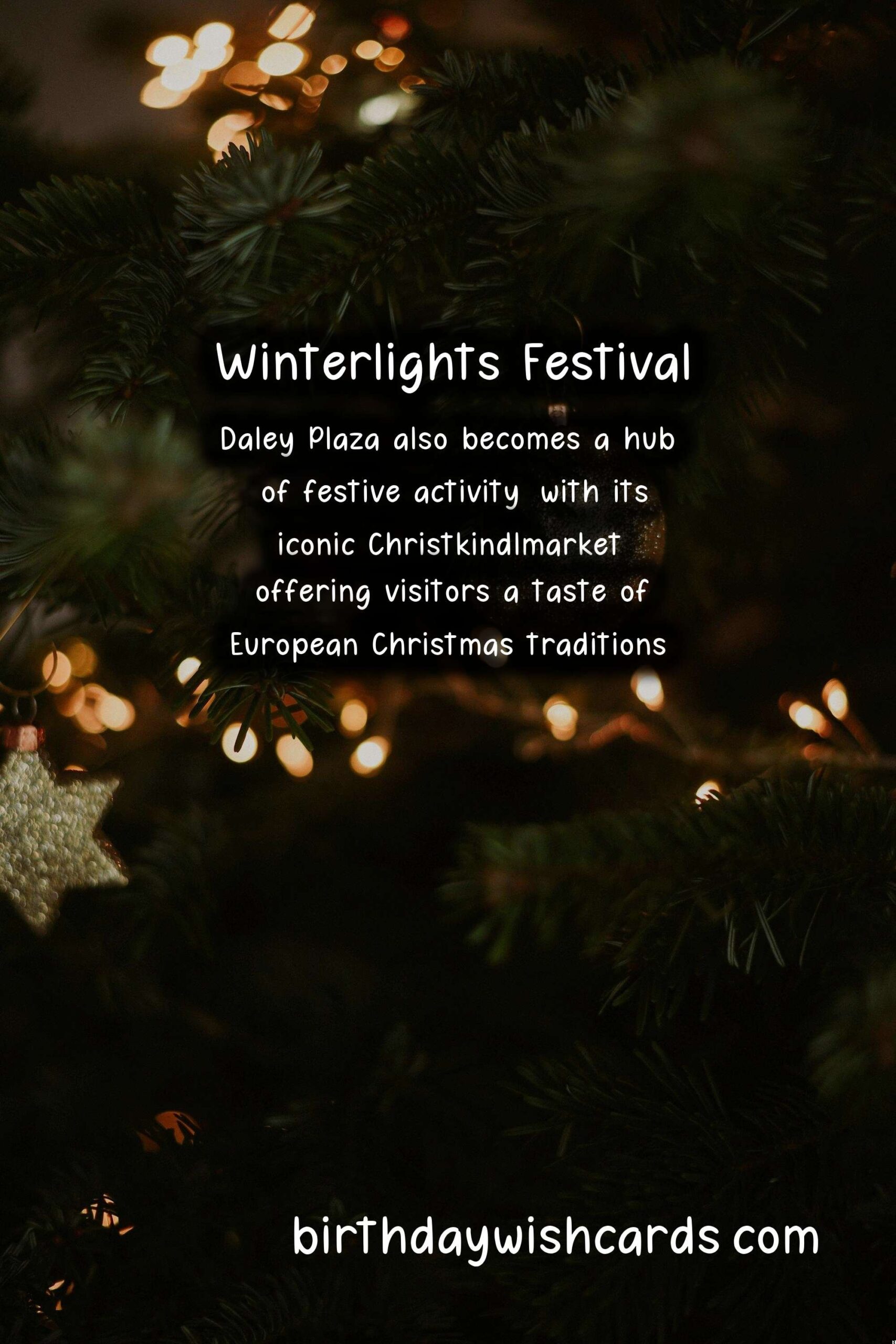 Winterlights Festival: A Winter Wonderland in November and December
