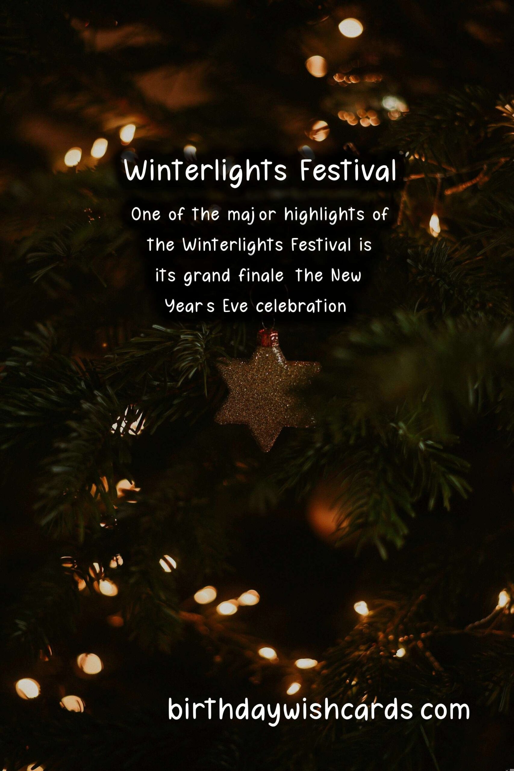 Winterlights Festival: A Winter Wonderland in November and December