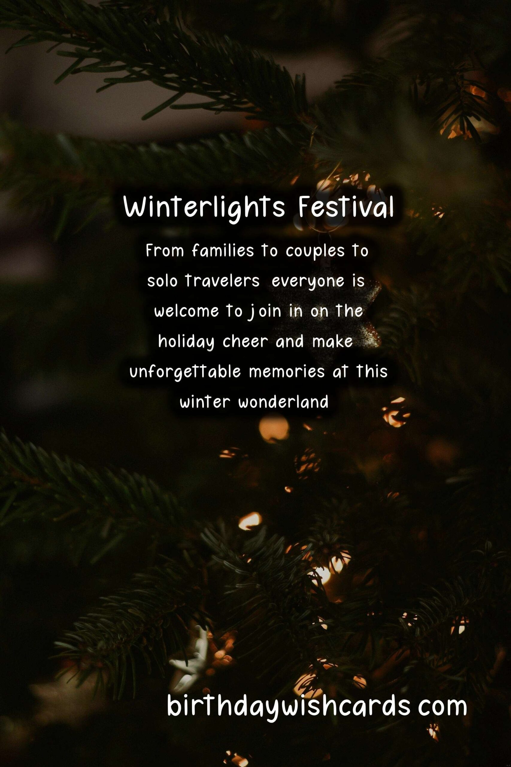 Winterlights Festival: A Winter Wonderland in November and December