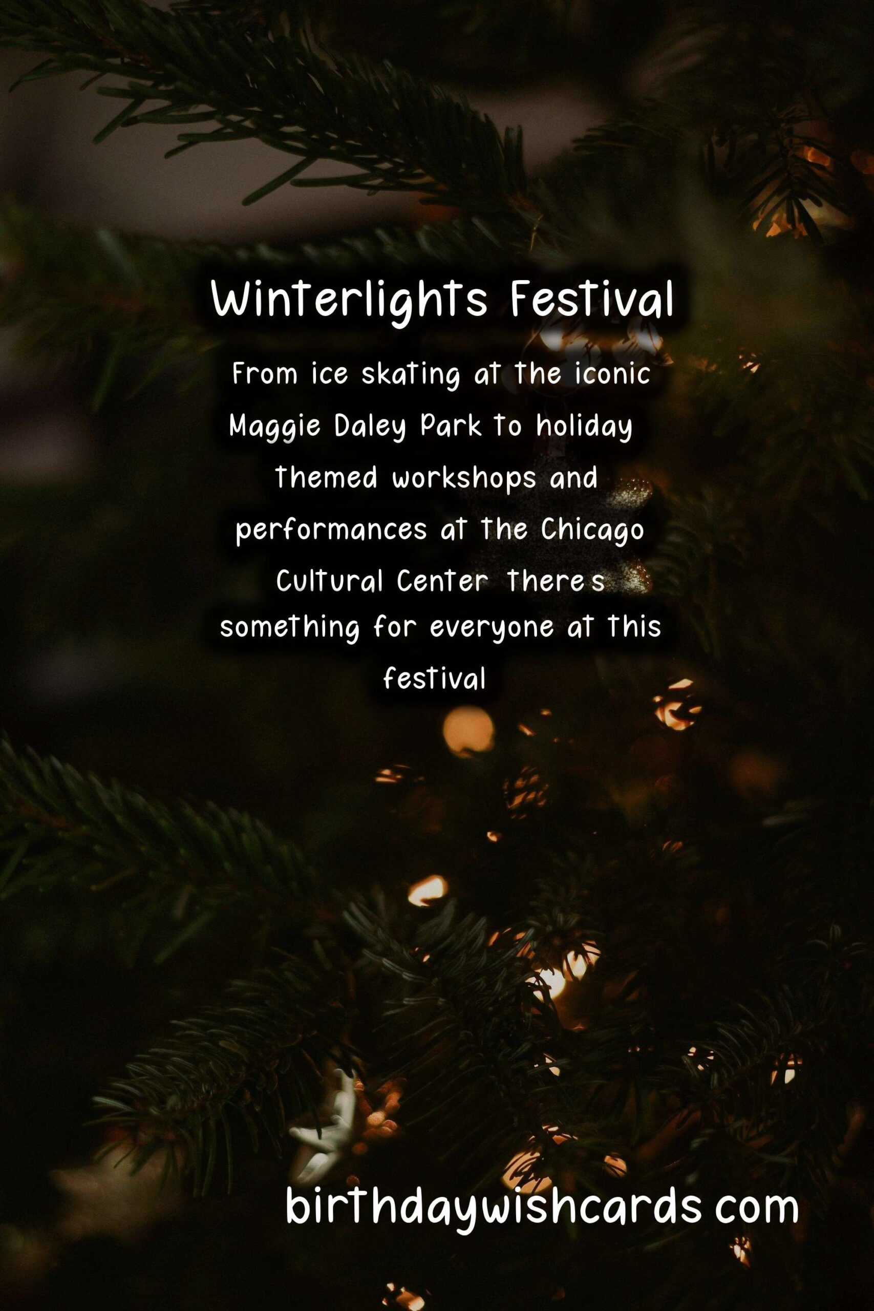 Winterlights Festival: A Winter Wonderland in November and December