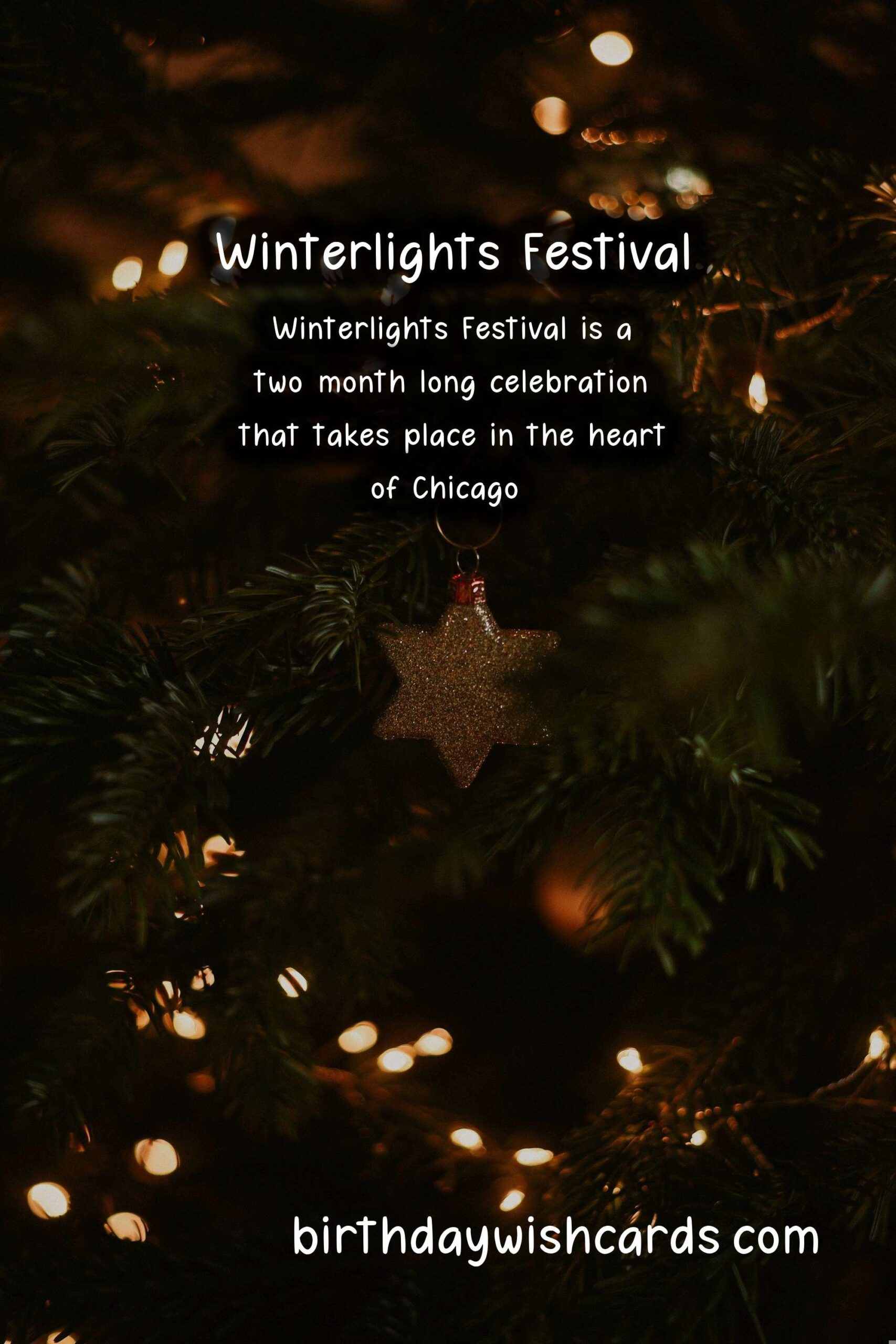 Winterlights Festival: A Winter Wonderland in November and December