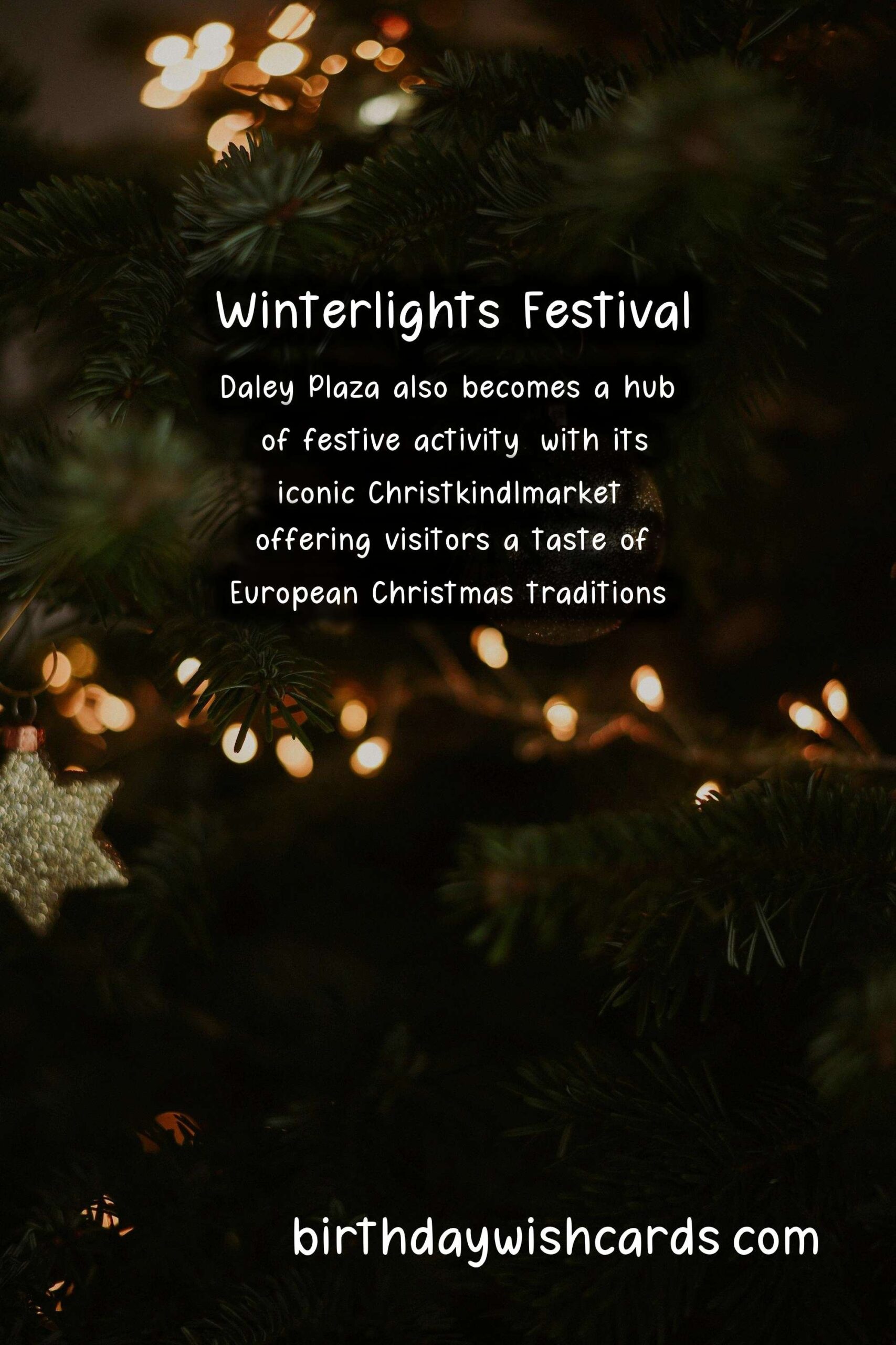 Winterlights Festival: A Winter Wonderland in November and December