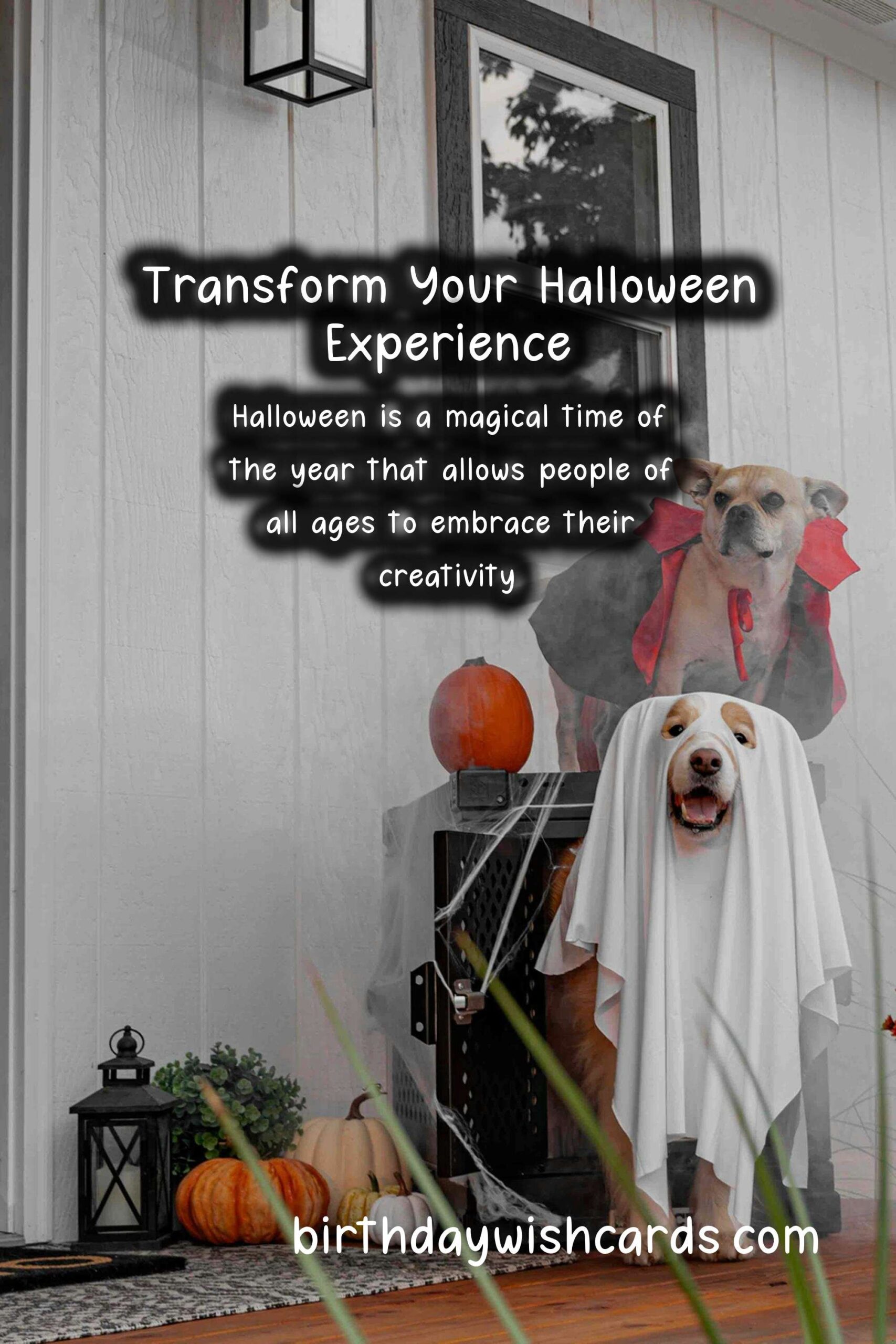 Life-Changing Advice for Halloween at Milestones