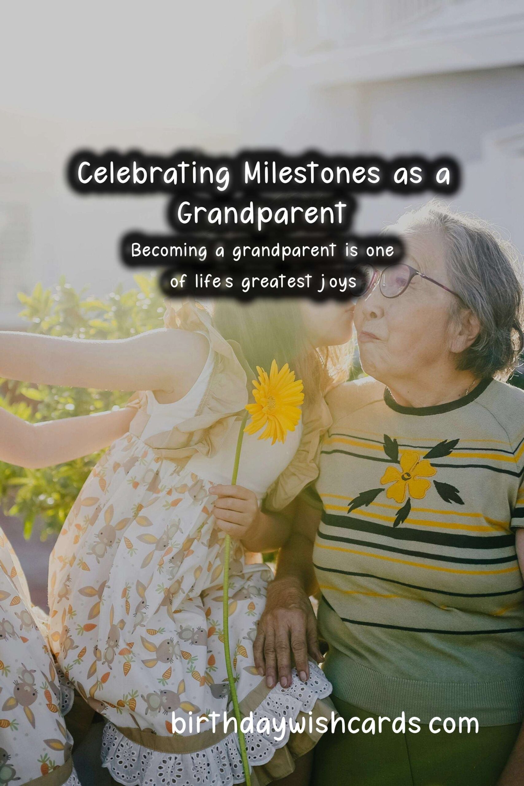 Life-changing Advice for Grandparents at Milestones
