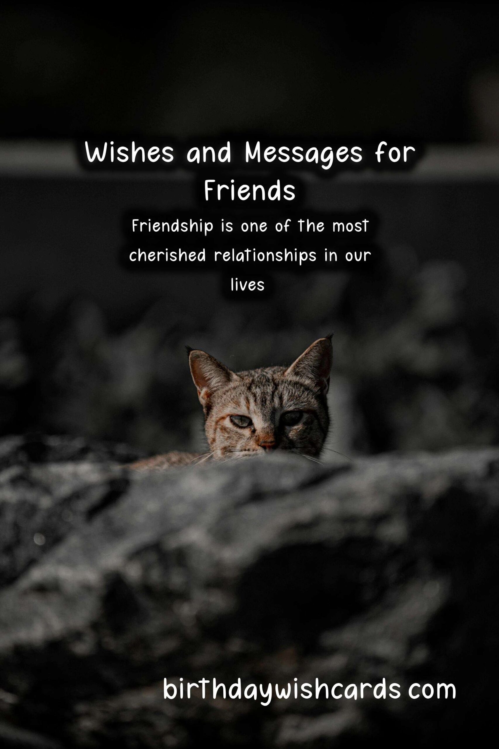 Best Wishes and Messages for Friends: Celebrate Your Bond