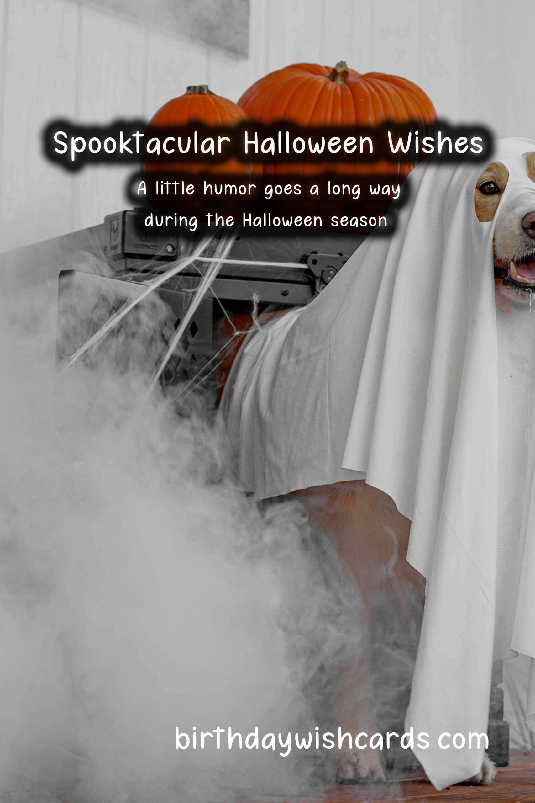 Best Wishes and Messages for Halloween