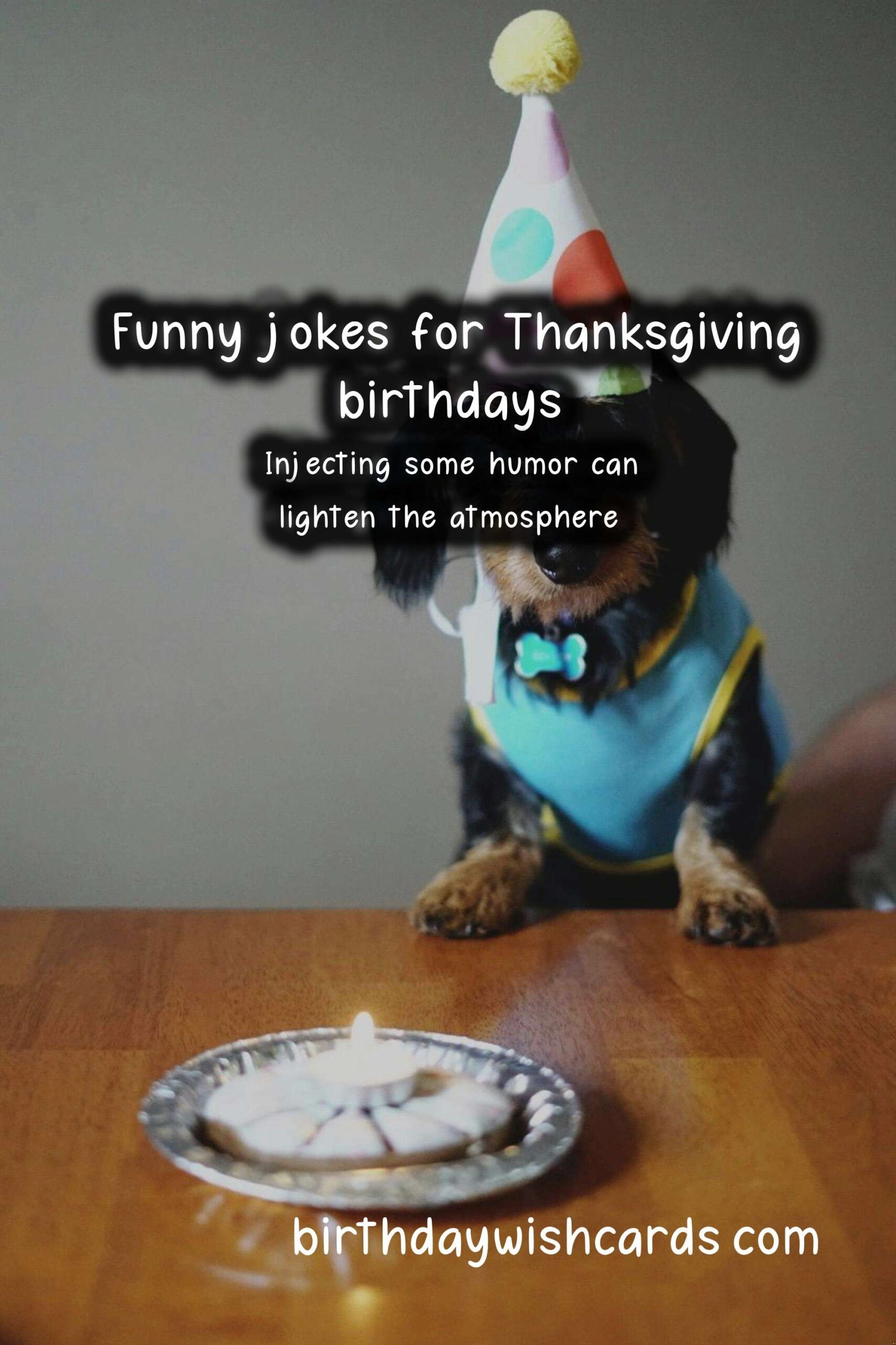 Funny Birthday Wishes for Thanksgiving: A Delightful Blend of Humor and Gratitude