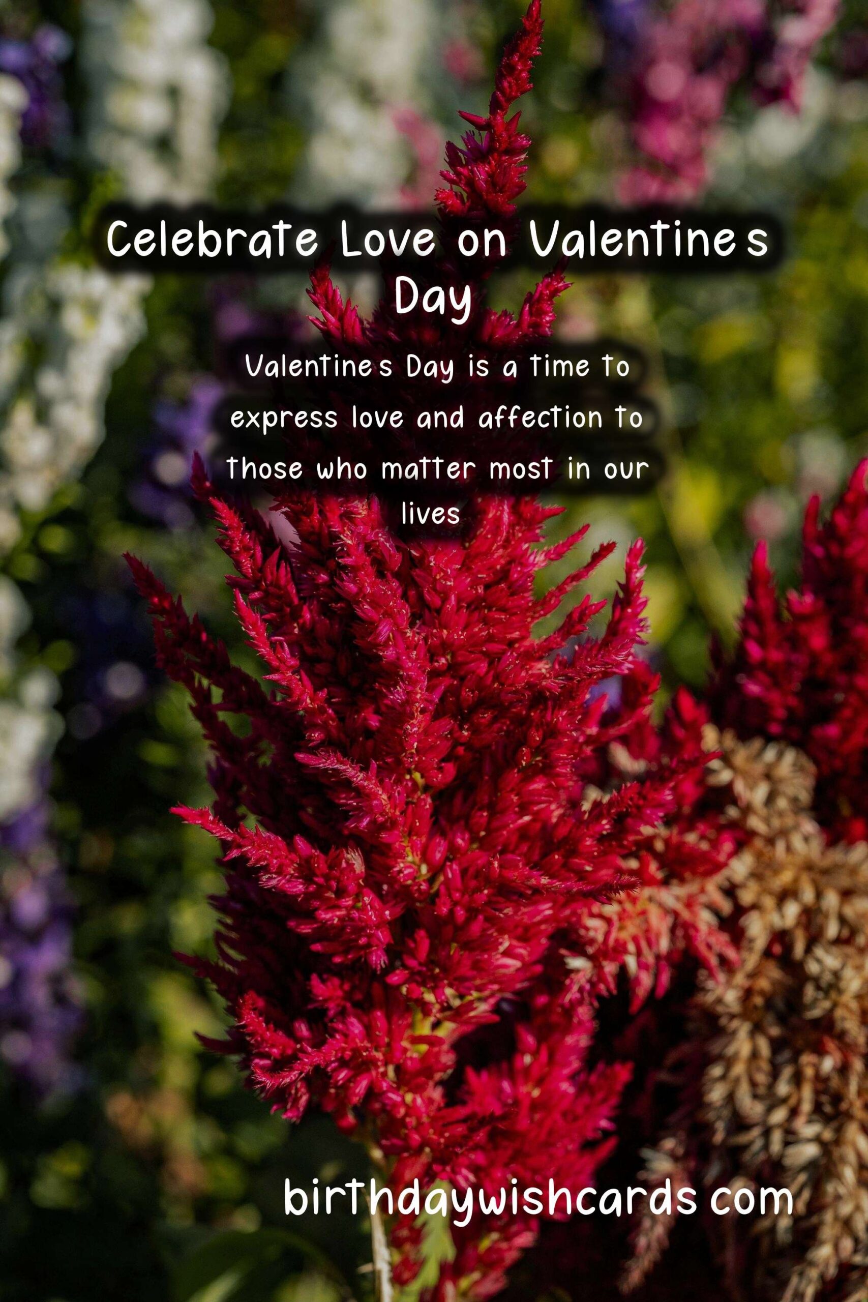 Heartfelt Wishes for Valentine's Day