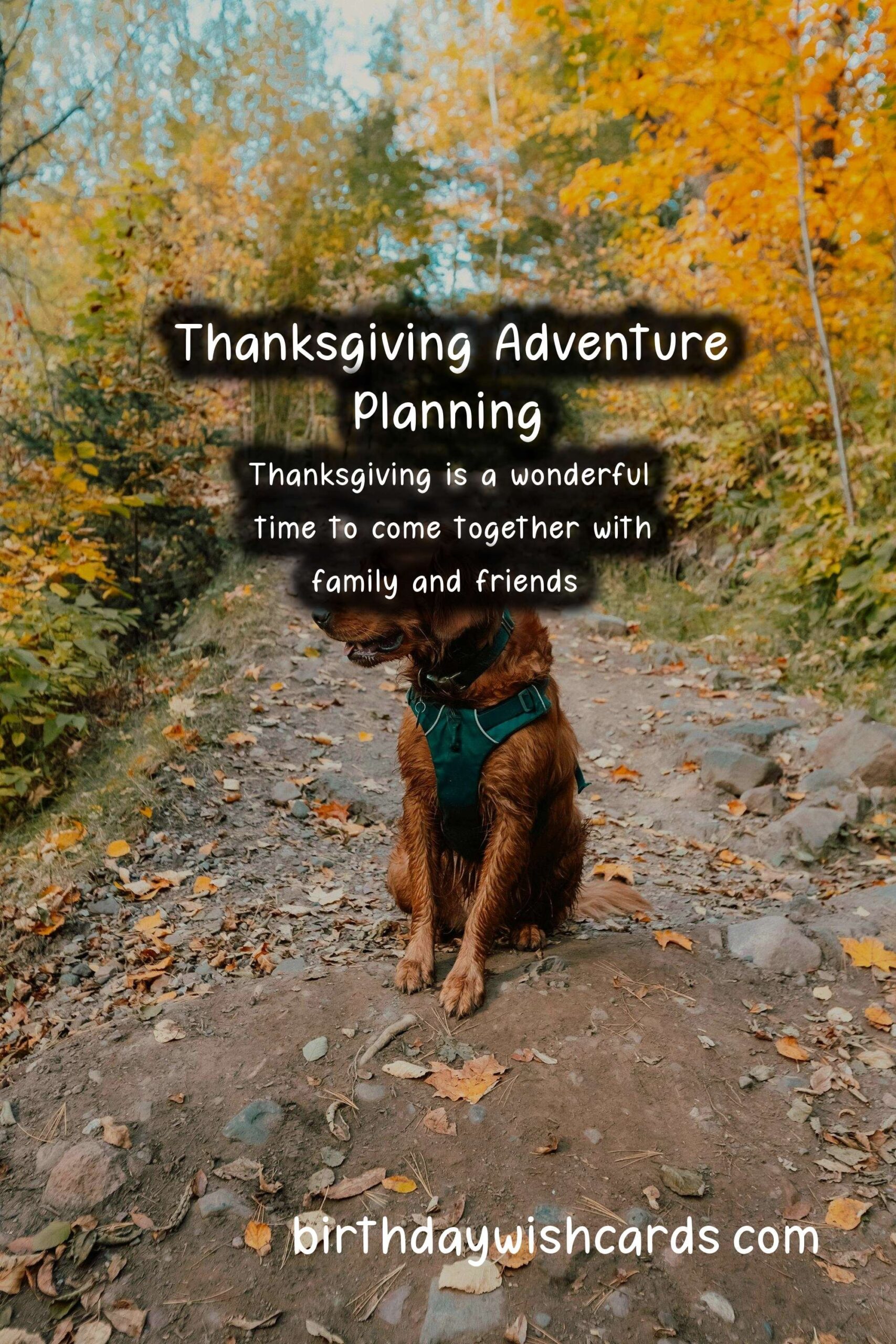 How to Plan the Perfect Thanksgiving Adventure
