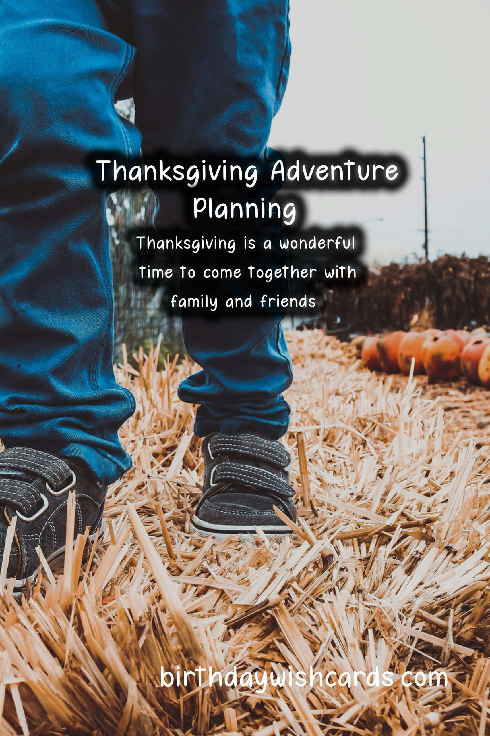 How to Plan the Perfect Thanksgiving Adventure