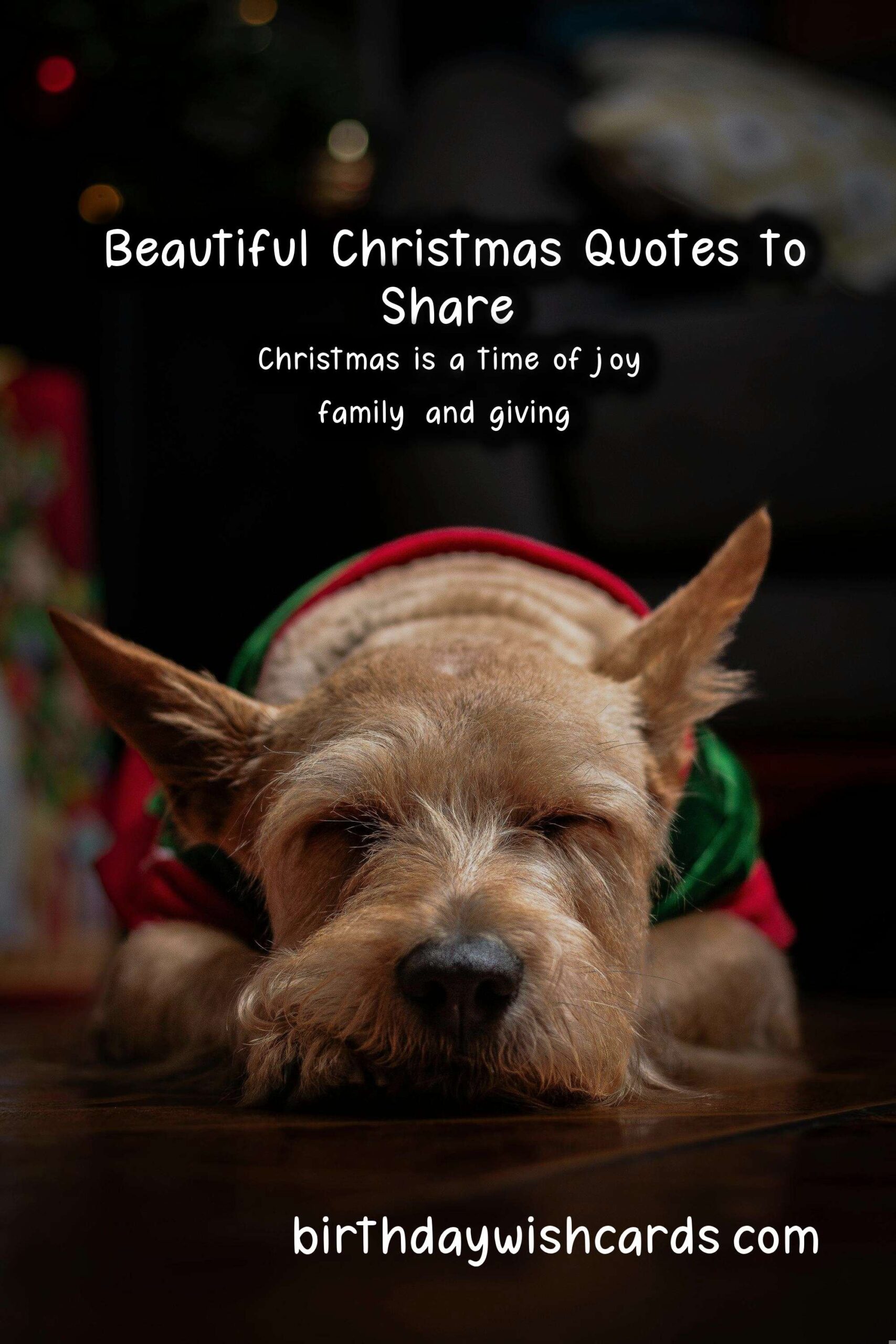 Top Christmas Quotes to Share with Loved Ones
